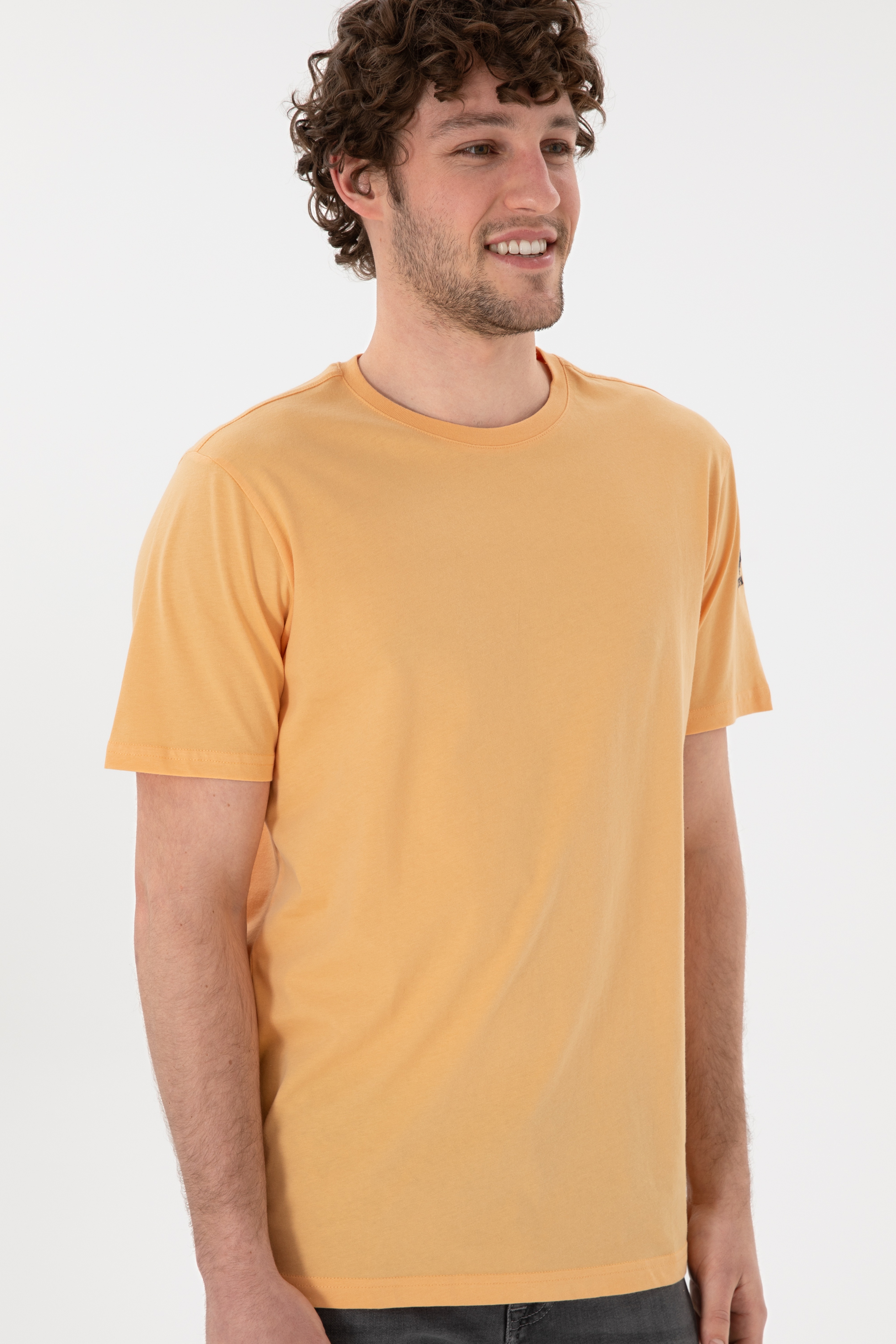 Erkek Regular Fit Bisiklet Yaka Turuncu Basic Tişört - Image 4