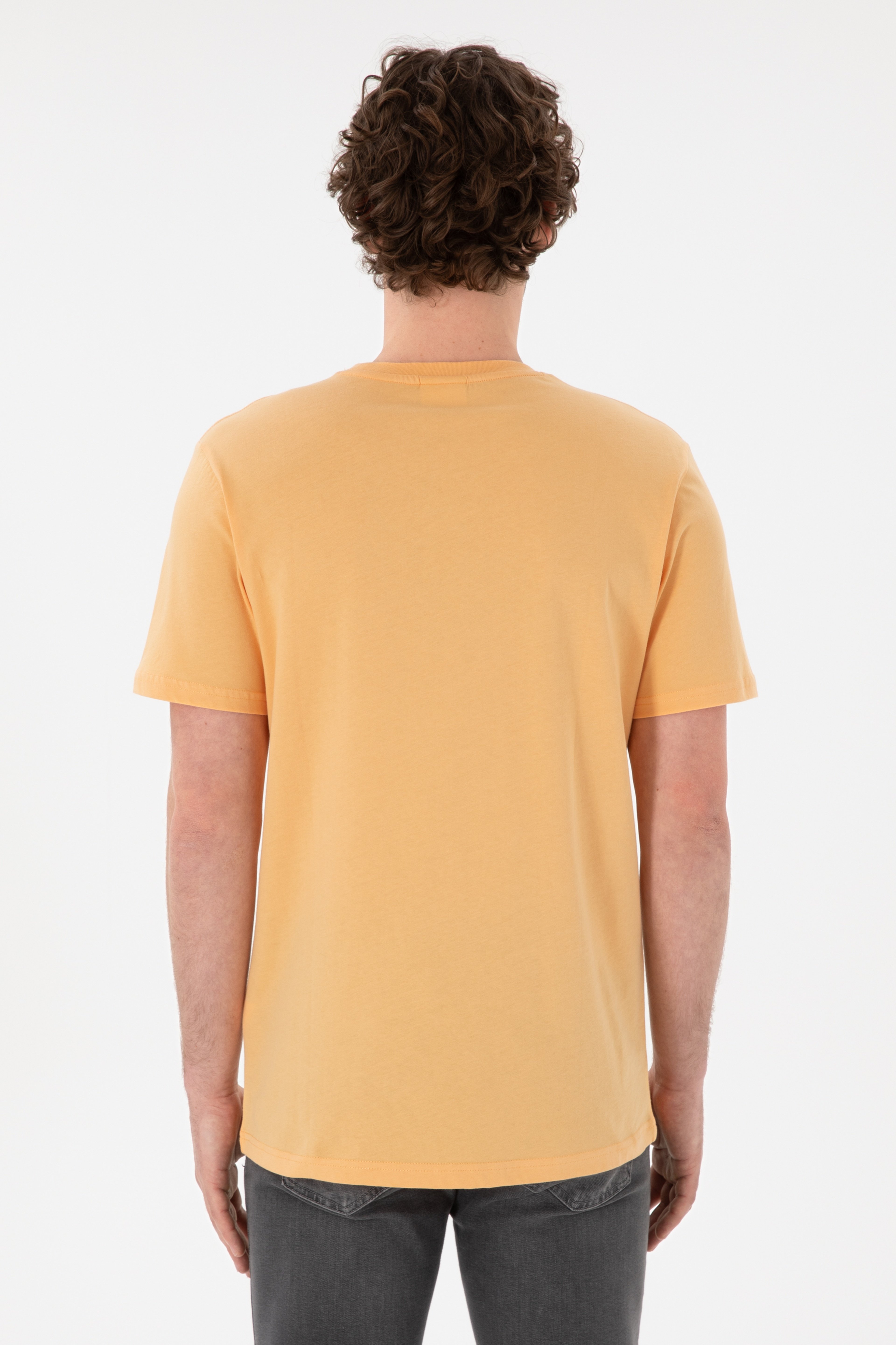 Erkek Regular Fit Bisiklet Yaka Turuncu Basic Tişört - Image 6