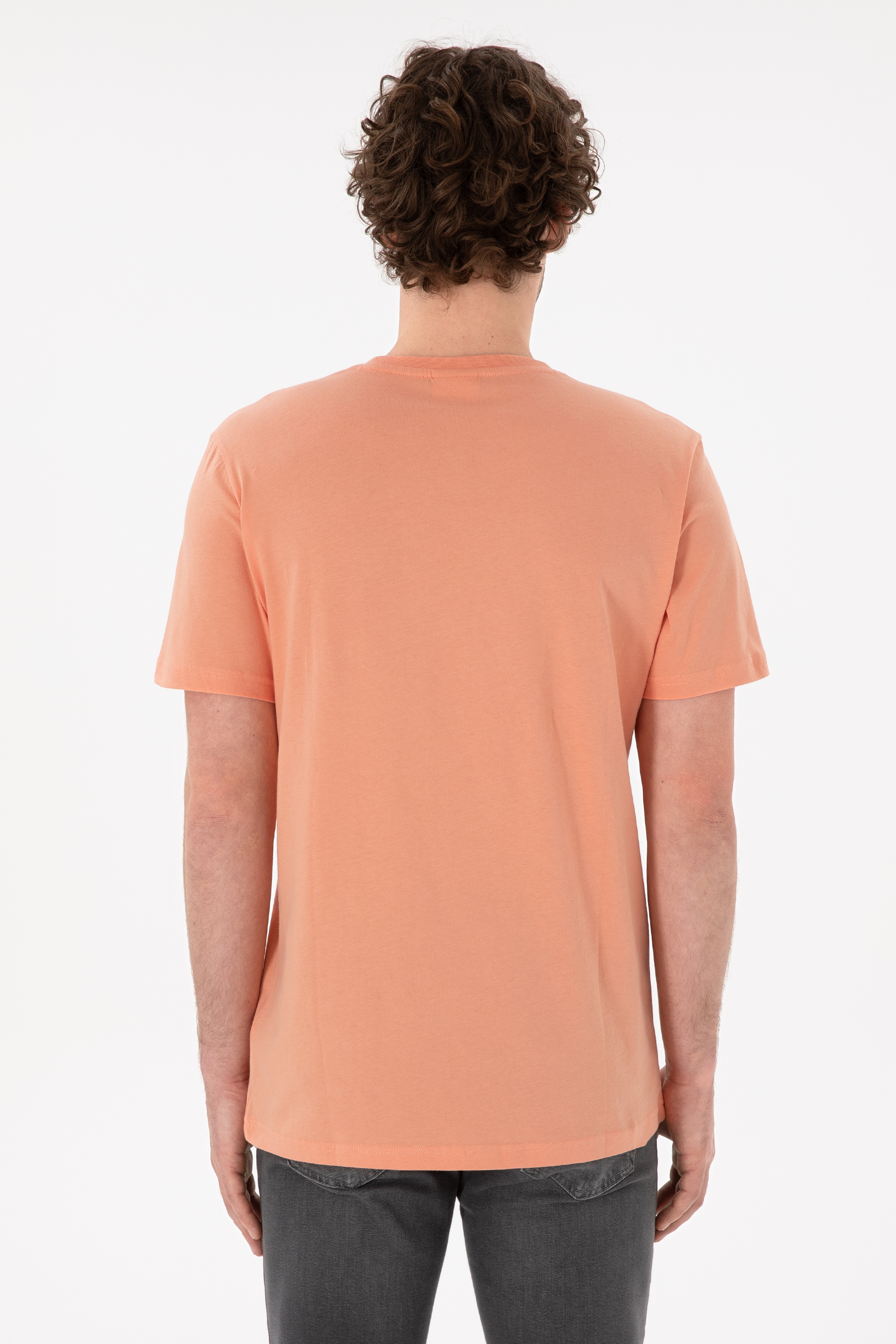 Erkek Regular Fit Bisiklet Yaka Somon Basic Tişört