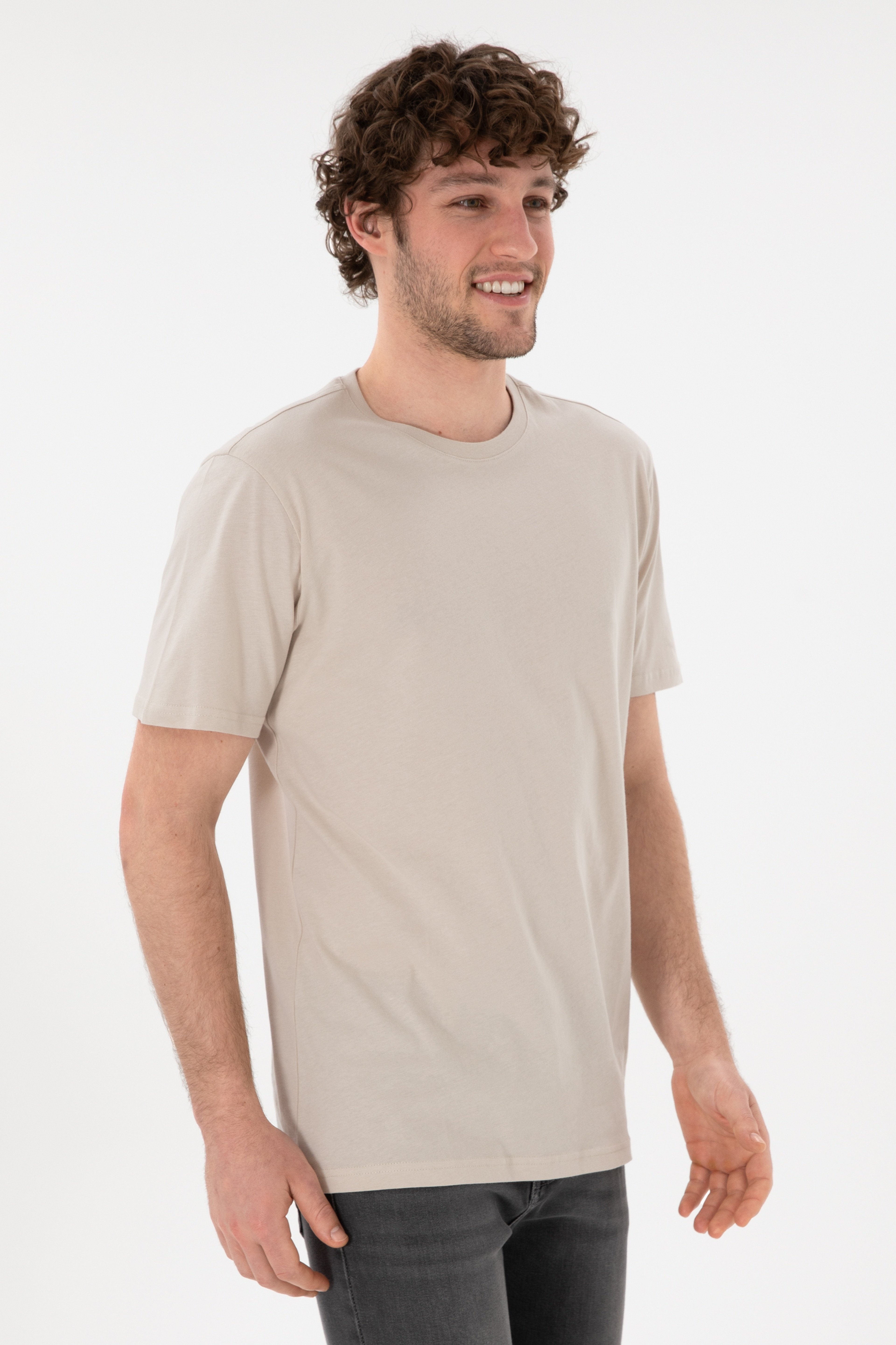 Erkek Regular Fit Bisiklet Yaka Taş Basic Tişört - Image 2