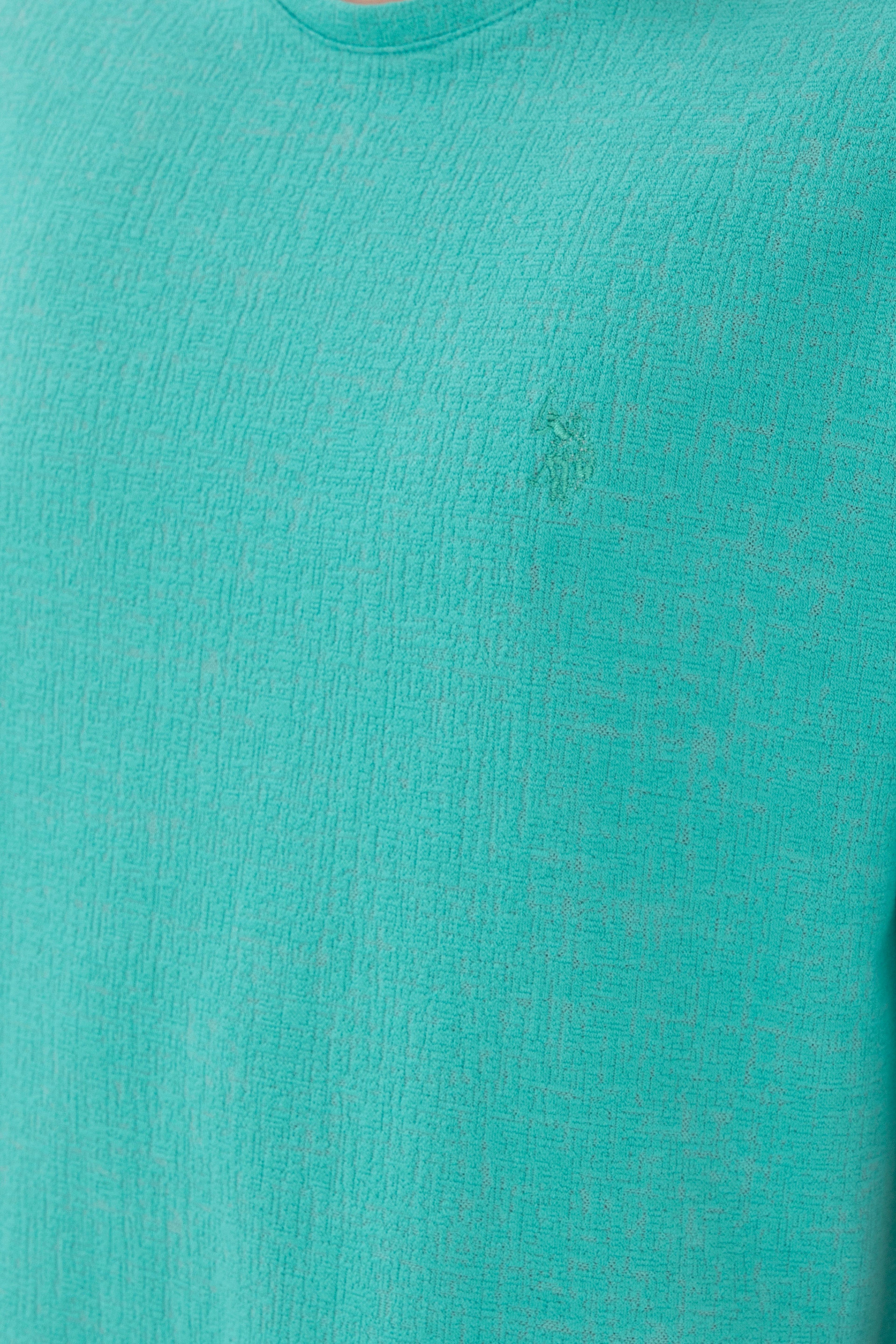 Erkek Comfort Fit Bisiklet Yaka Mint Jakarlı İnterlok Tişört - Image 7