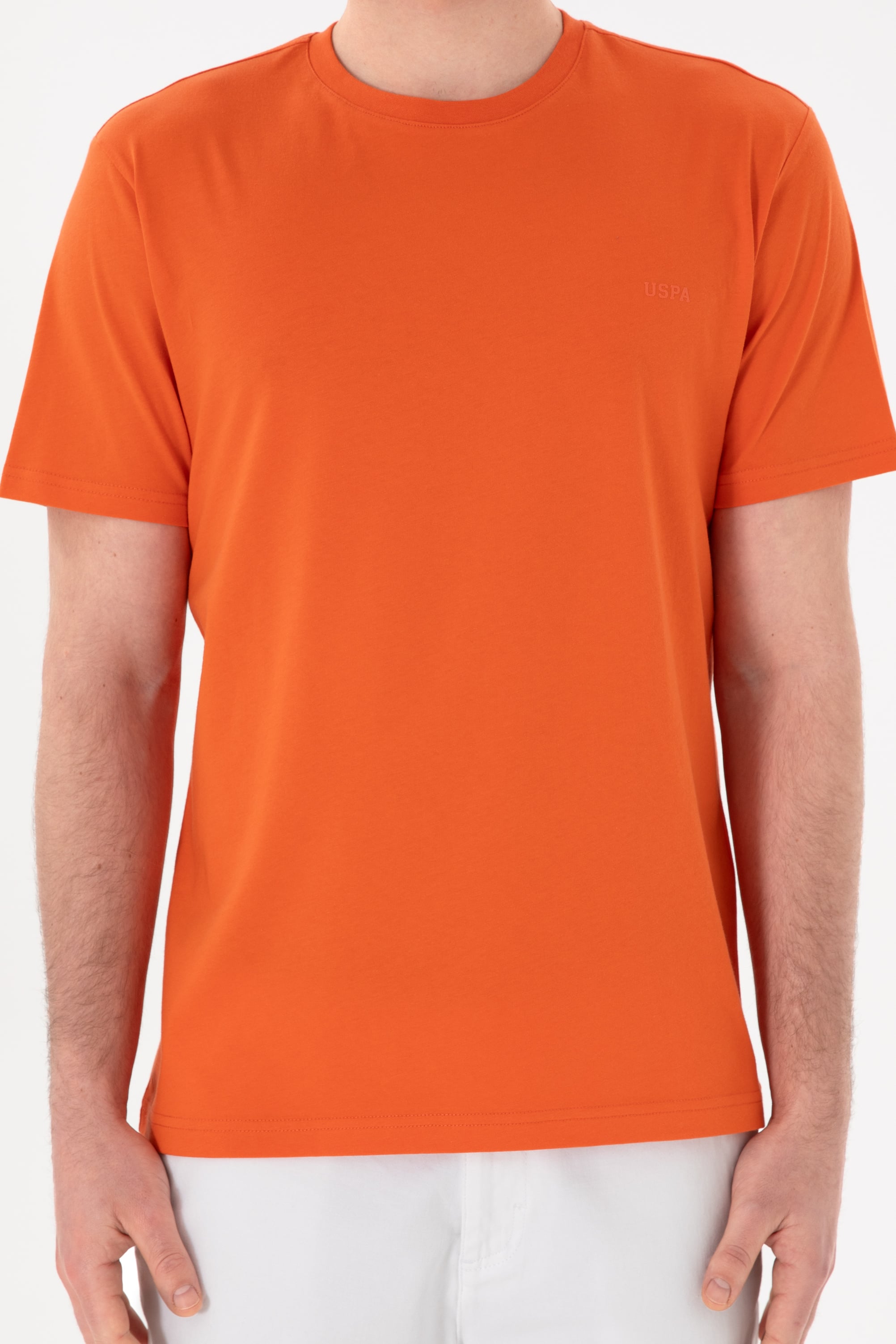 Erkek Regular Fit Bisiklet Yaka Nar Çiçeği Basic Tişört