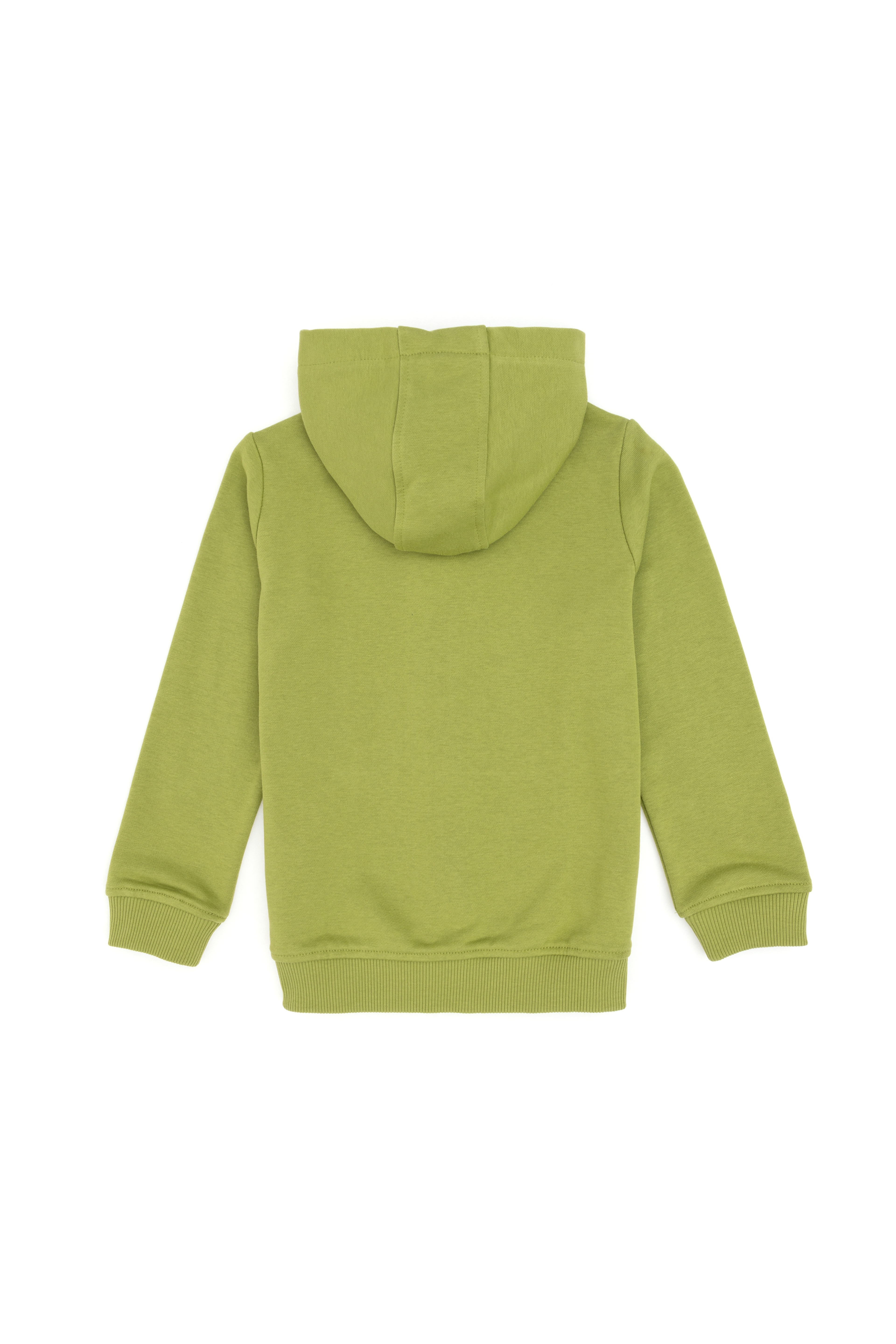 Erkek Çocuk Fermuarlı Kapüşonlu Basic Fıstık Yeşili Sweatshirt - Image 4
