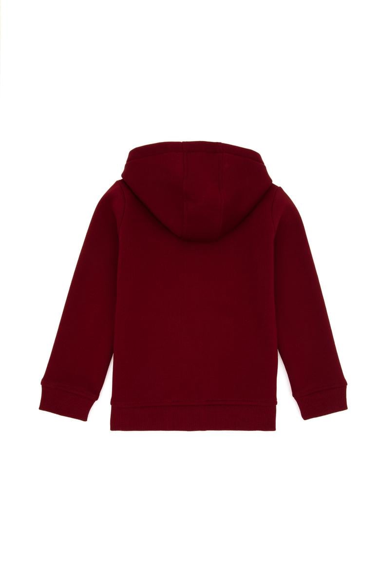 Erkek Çocuk Fermuarlı Bordo Şardonlu Kapüşonlu Sweatshirt - 50295127038