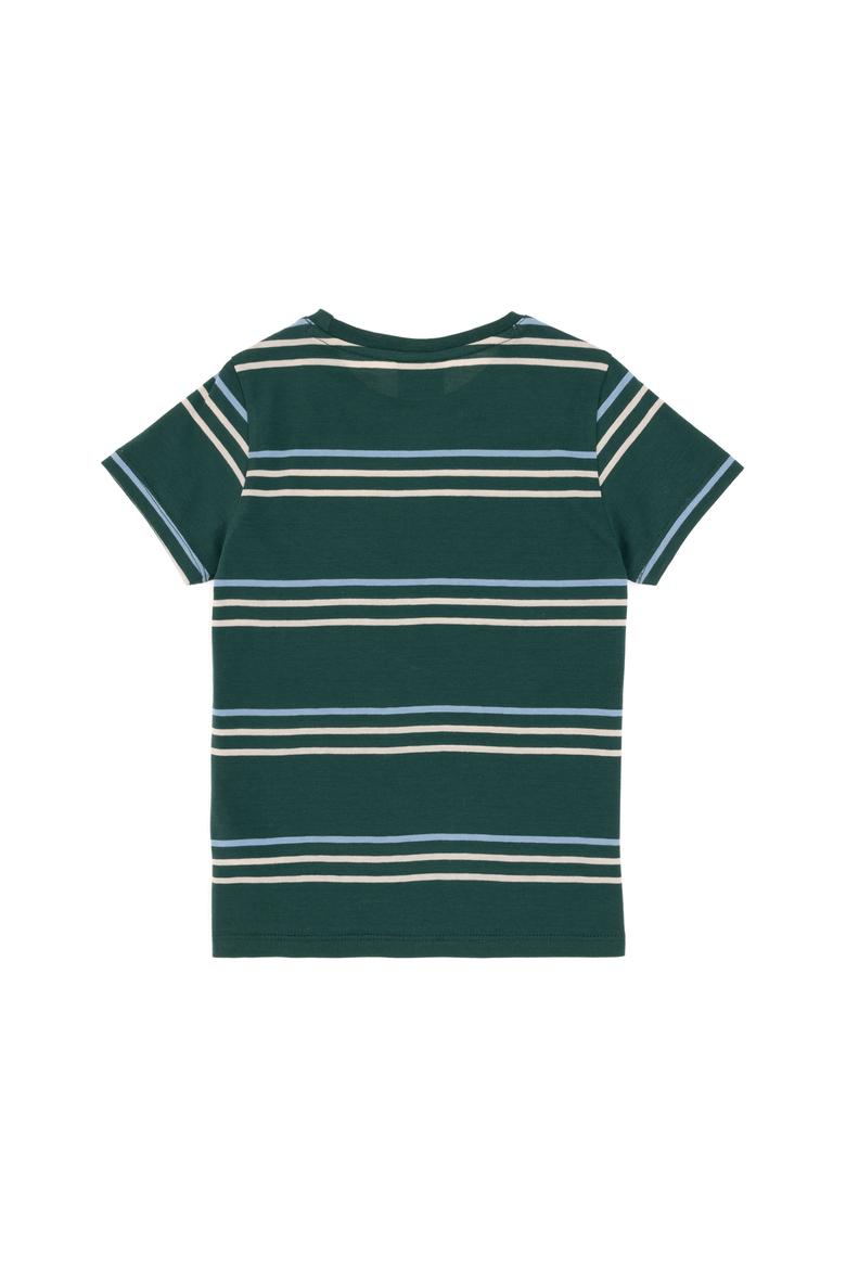 Erkek Çocuk Koyu Yeşil Basic Tişört - 50295562002