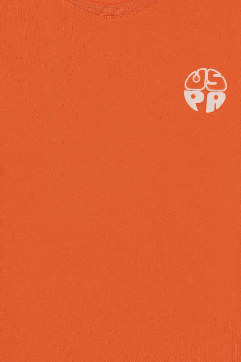 Erkek Çocuk Tarçın Comfort Basic Bisiklet Yaka Tşört - 50295503063