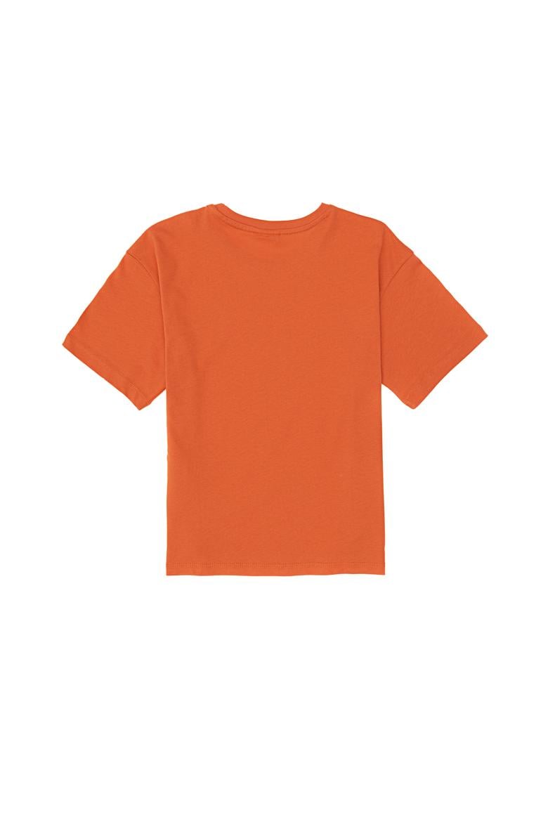 Erkek Çocuk Tarçın Comfort Basic Bisiklet Yaka Tşört - 50295503063