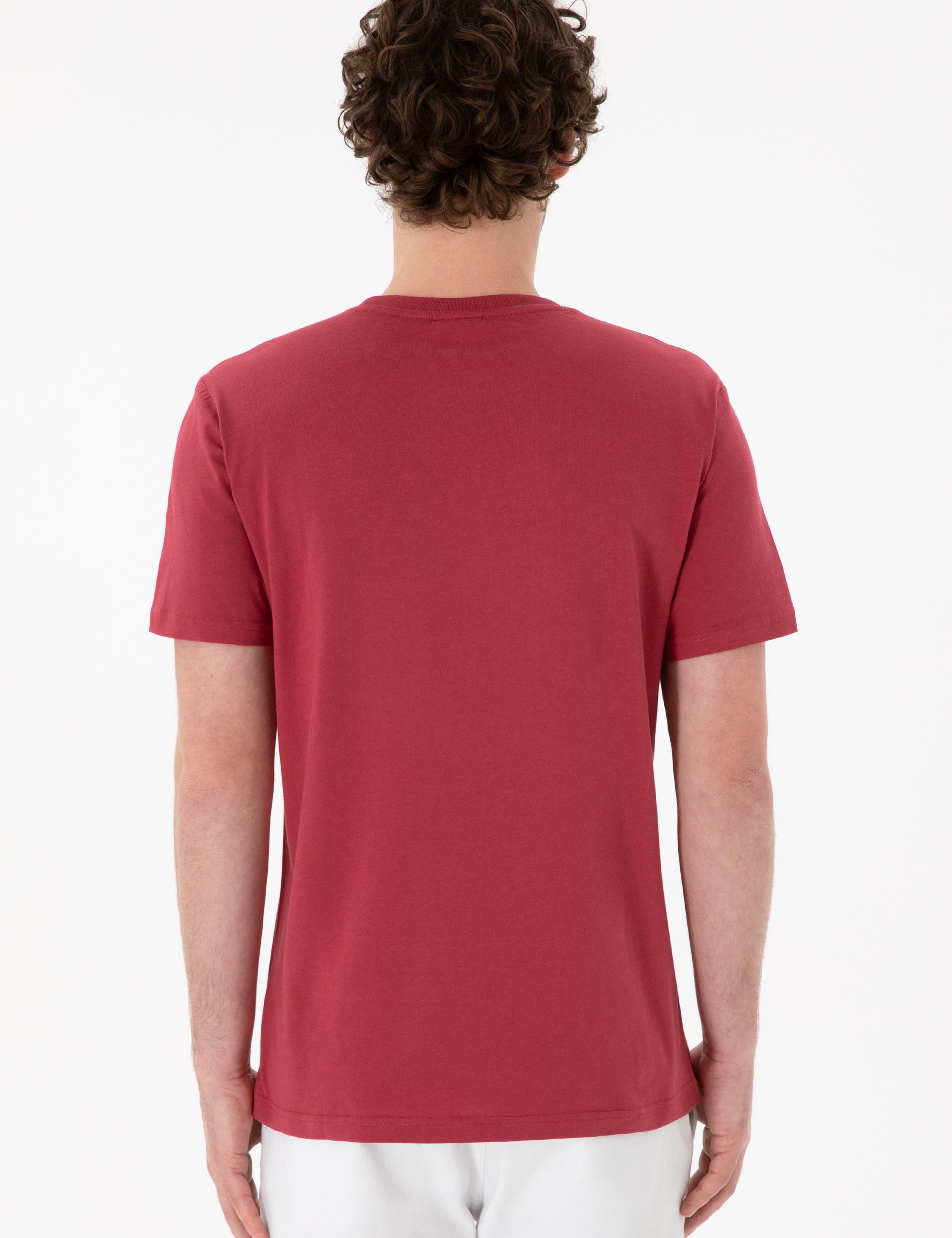 تی شرت یقه گرد آستین کوتاه رگولار یقه گرد مردانه یو اس پولو | U.S. Polo Assn. - تصویر 6