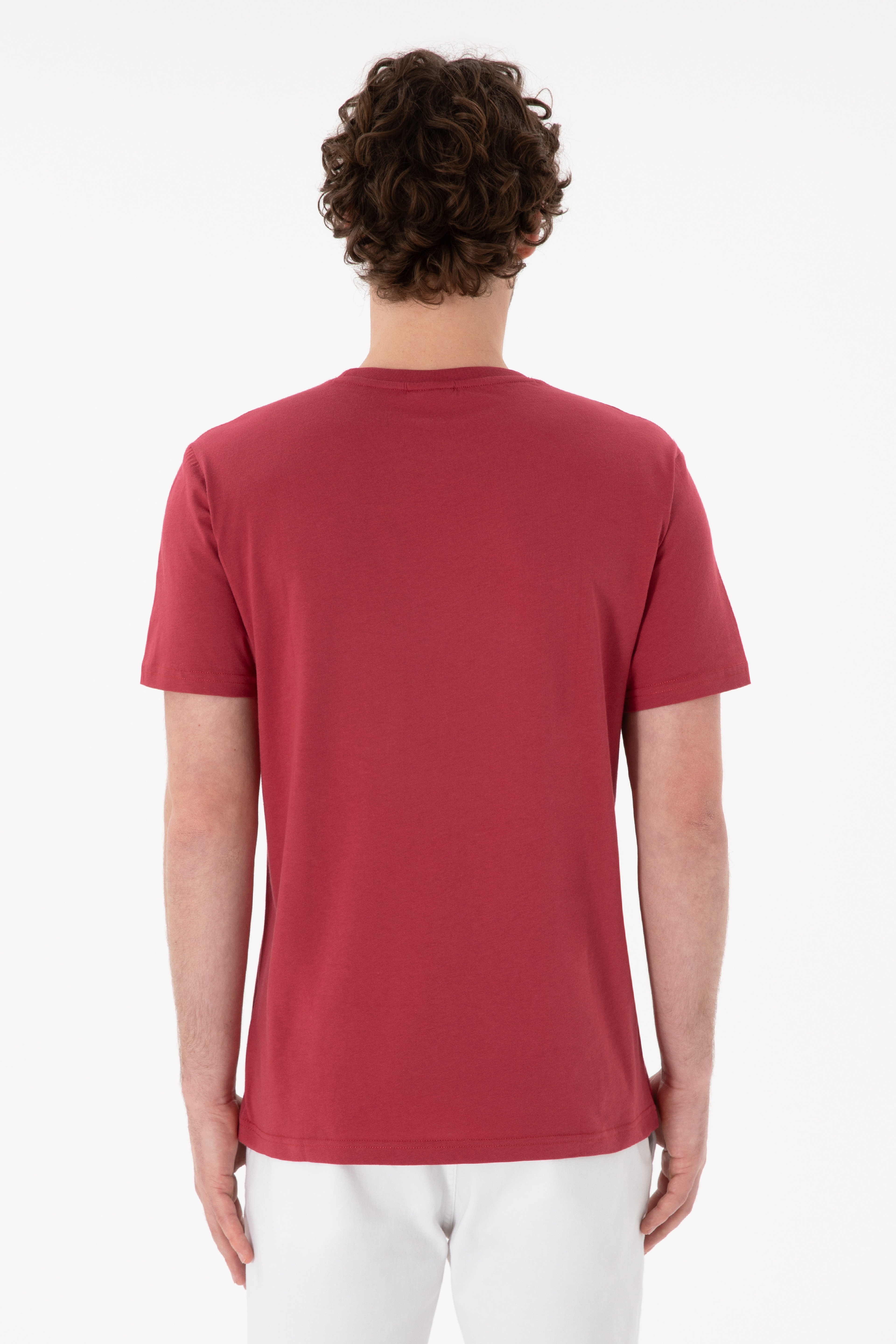 Erkek Regular Fit Bisiklet Yaka Vişne Basic Tişört