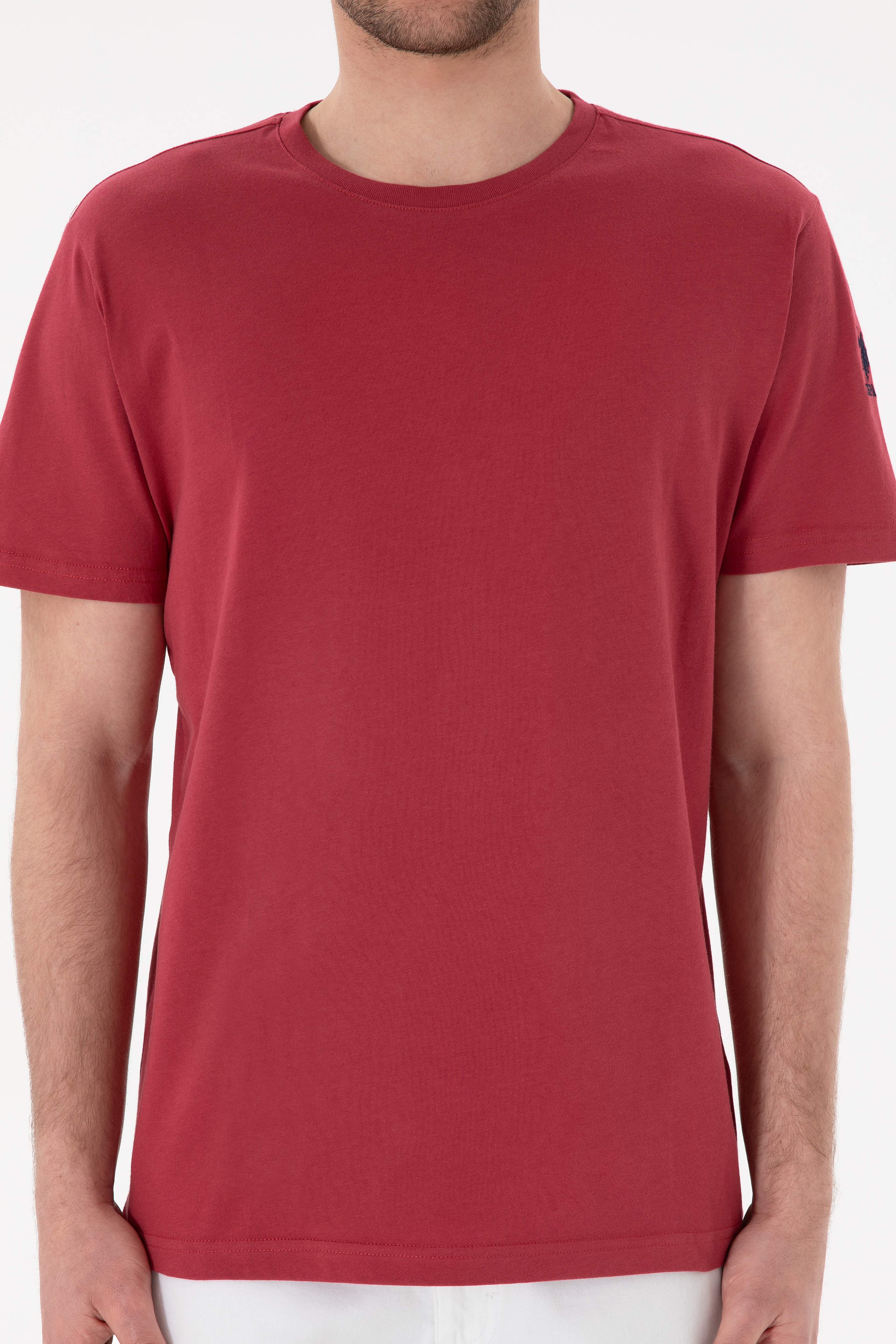 Erkek Regular Fit Bisiklet Yaka Vişne Basic Tişört - Image 7