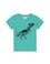 Erkek Çocuk Mint Bisiklet Yaka Tişört