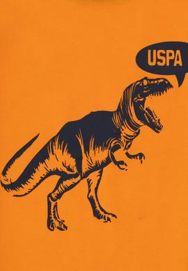 Erkek Çocuk Turuncu Bisiklet Yaka Tişört - 50307200058