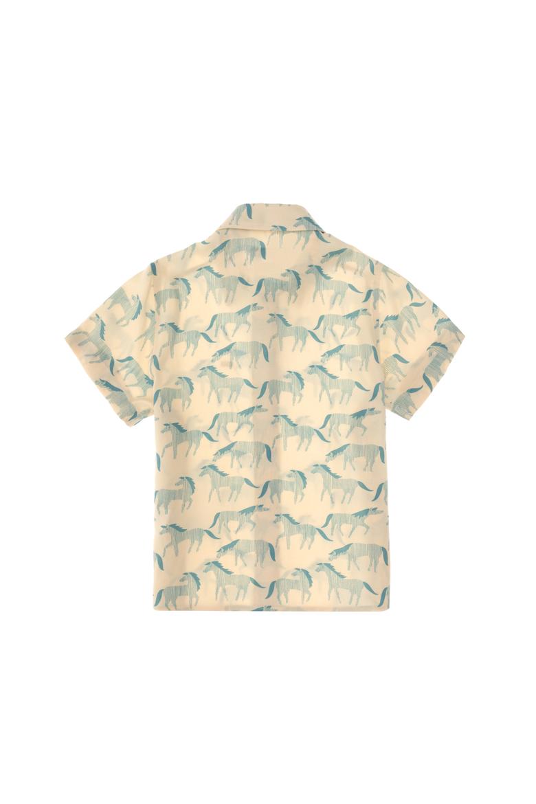 Erkek Çocuk Taş Kısa Kollu Gömlek - 50307981019