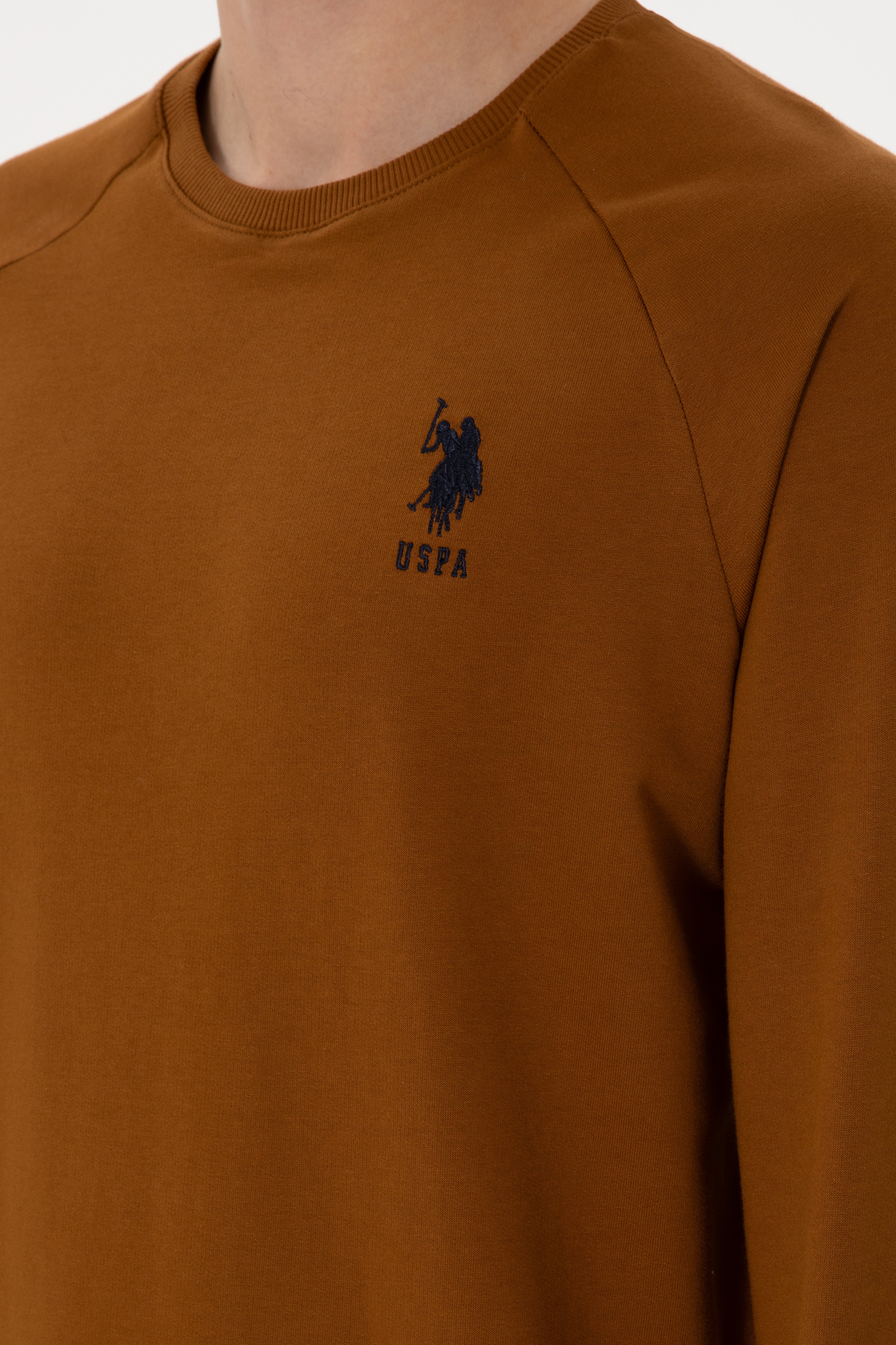 Erkek Coconut Basic Sweatshirt - Image 7