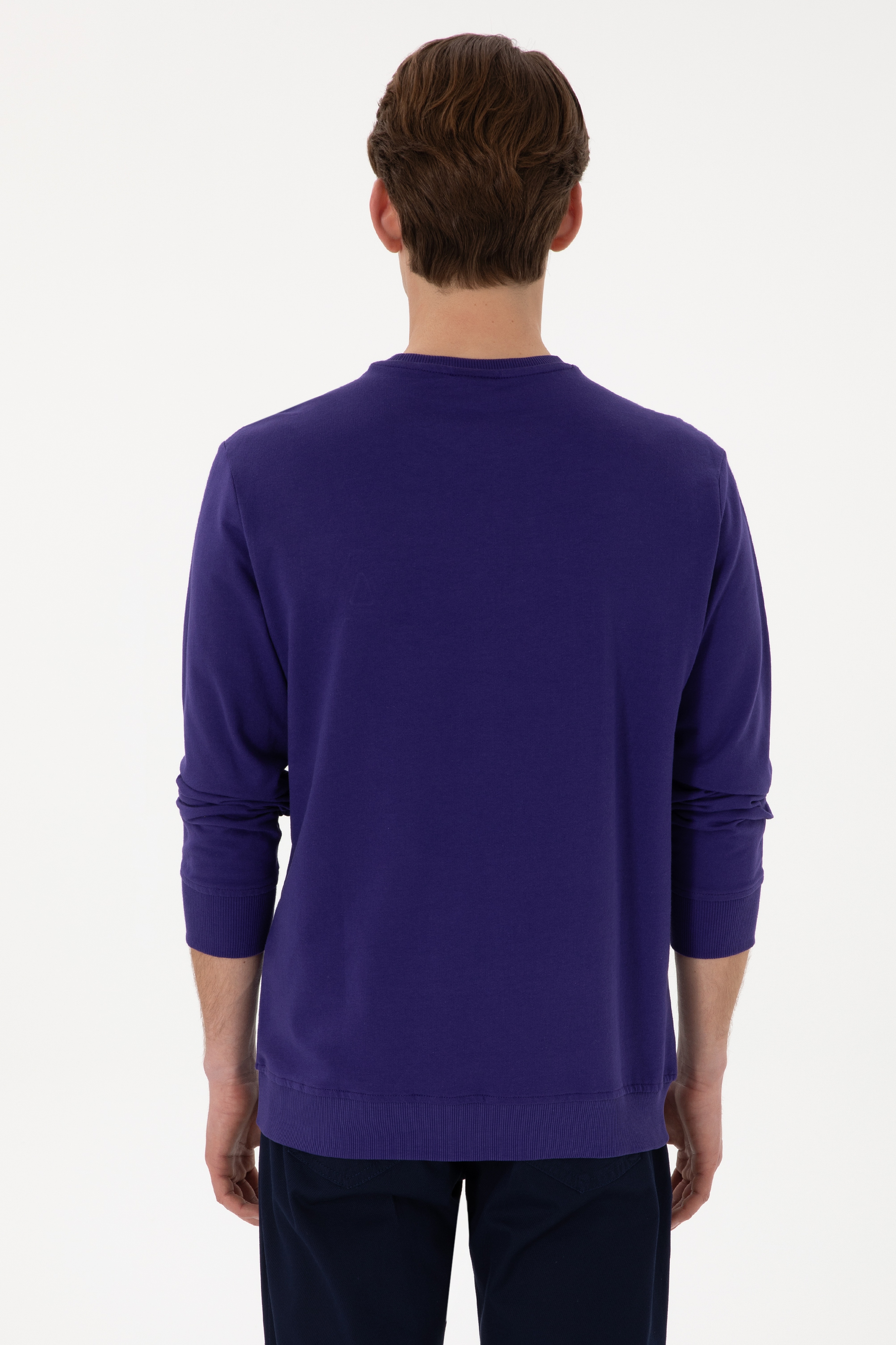 Erkek Regular Fit Bisiklet Yaka Mor Basic Sweatshirt - Image 5