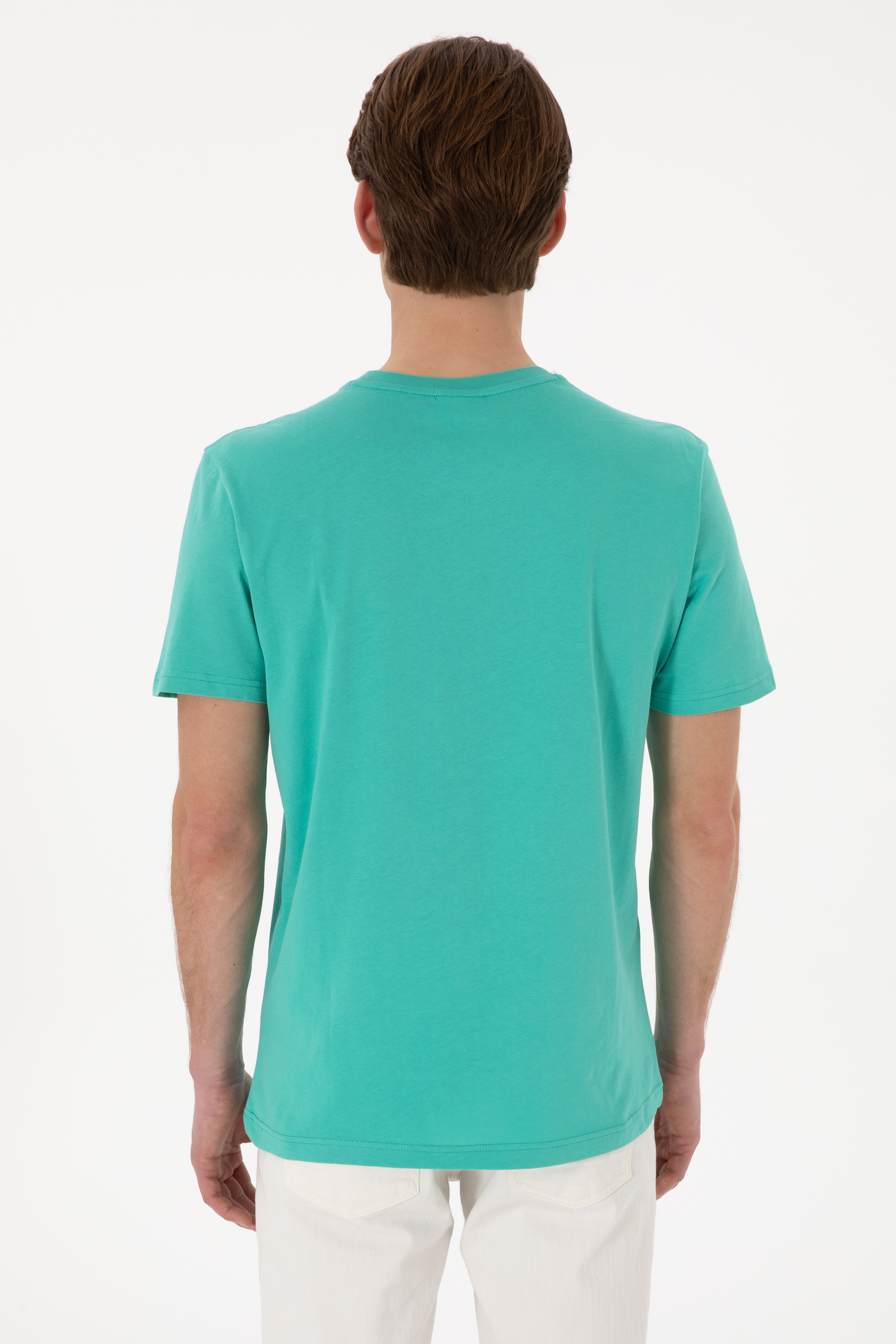 Erkek Regular Fit Bisiklet Yaka Mint Basic Tişört - Image 5