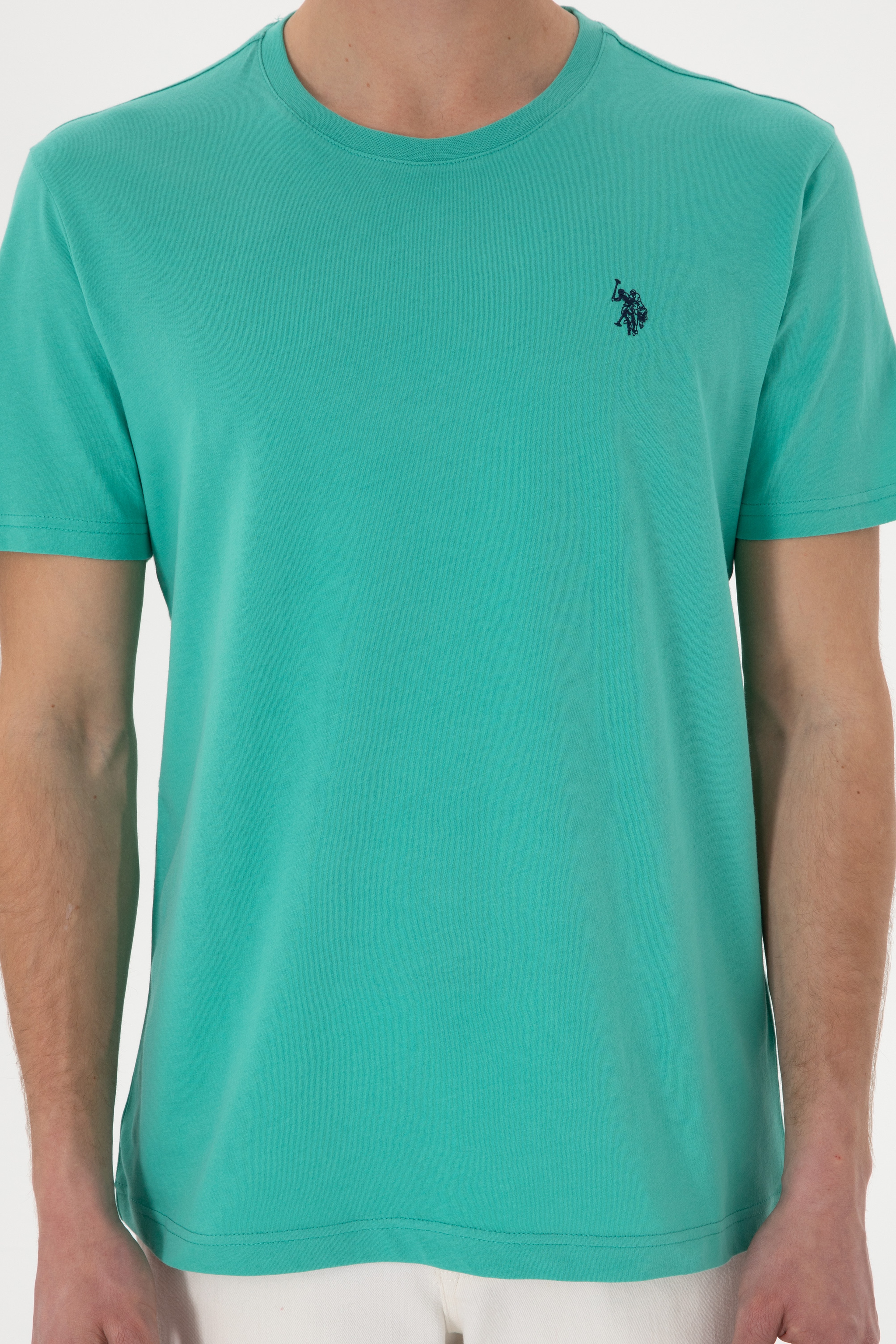 Erkek Regular Fit Bisiklet Yaka Mint Basic Tişört - Image 6