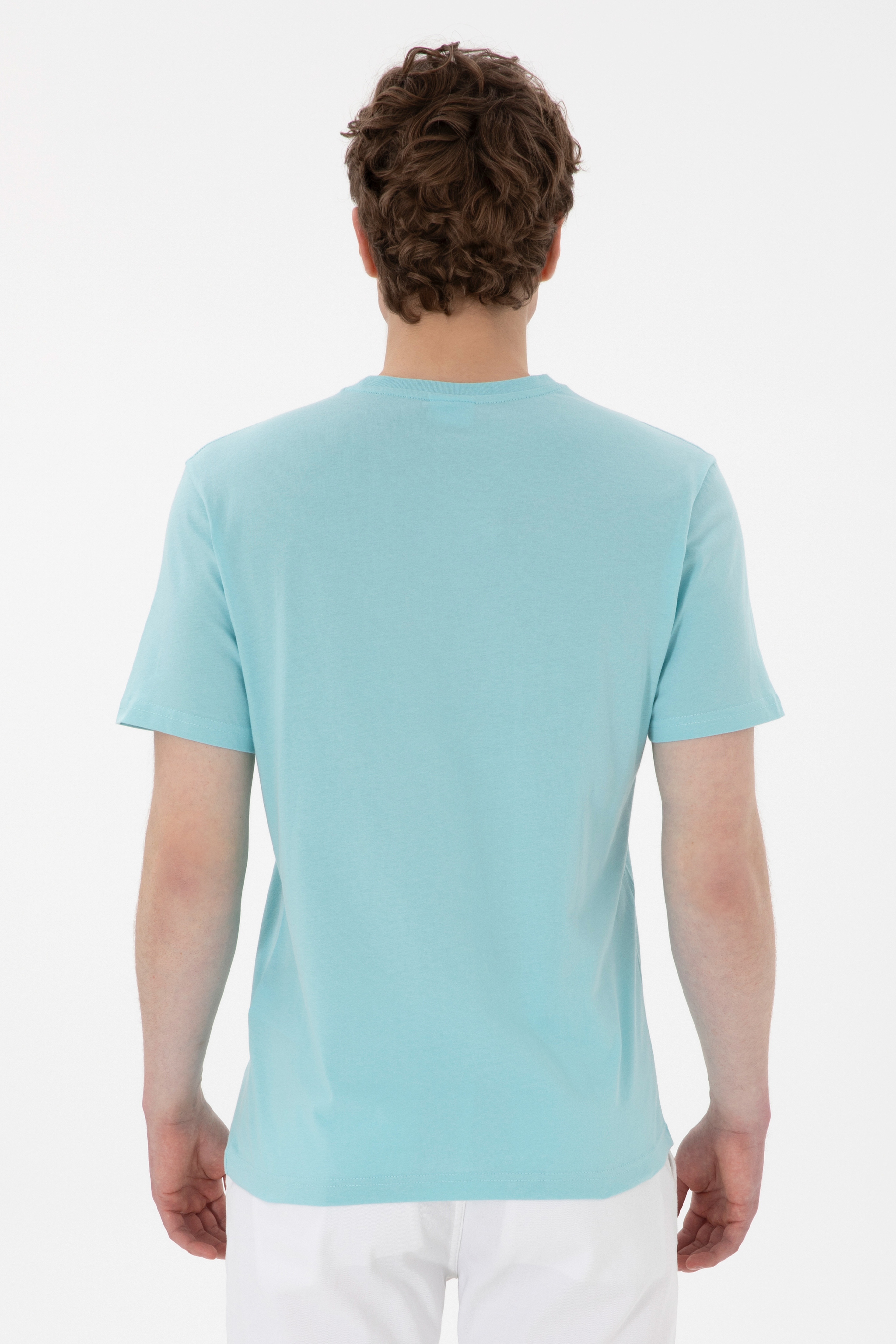 Erkek Regular Fit Bisiklet Yaka Aqua Tişört - Image 5