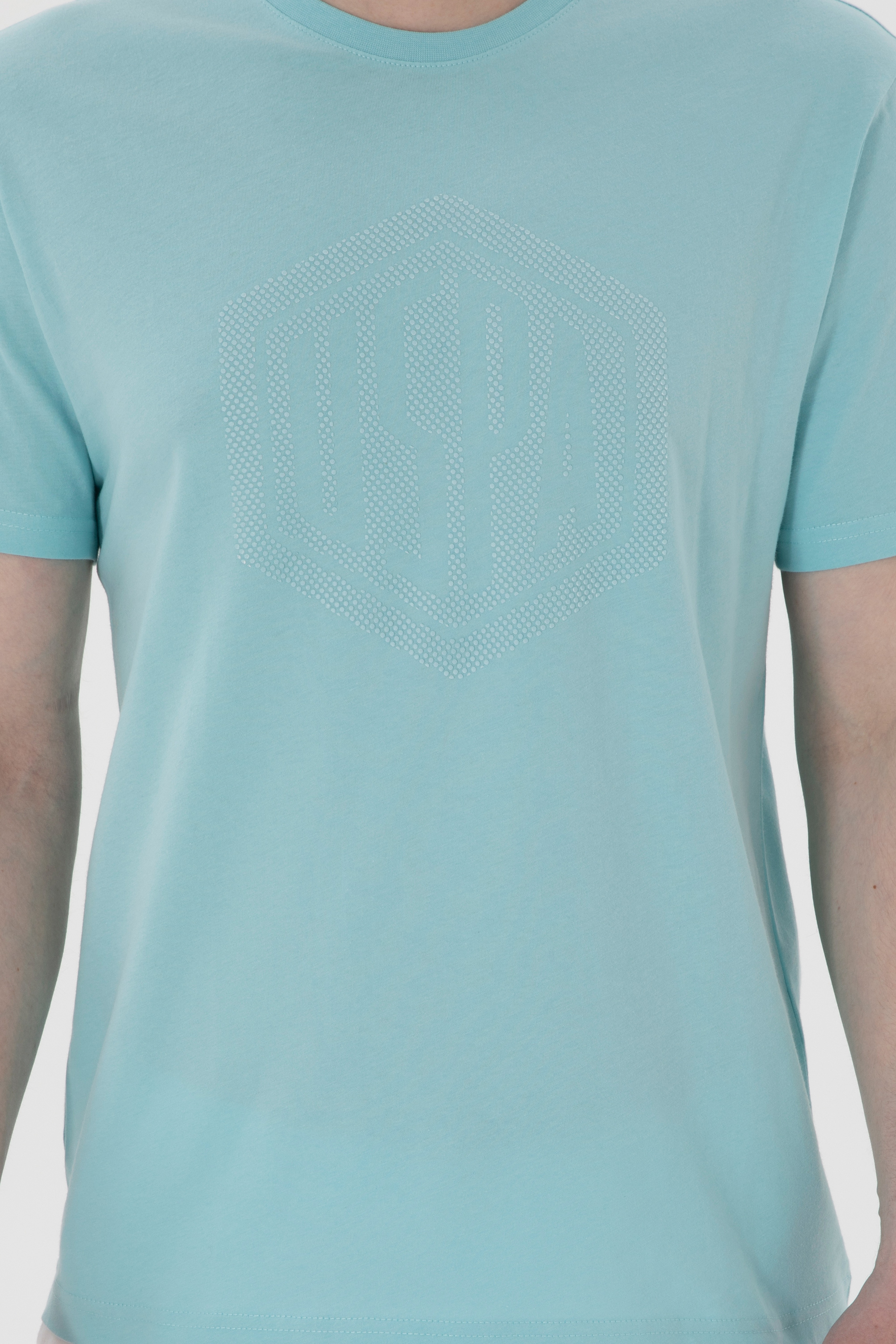 Erkek Regular Fit Bisiklet Yaka Aqua Tişört - Image 6