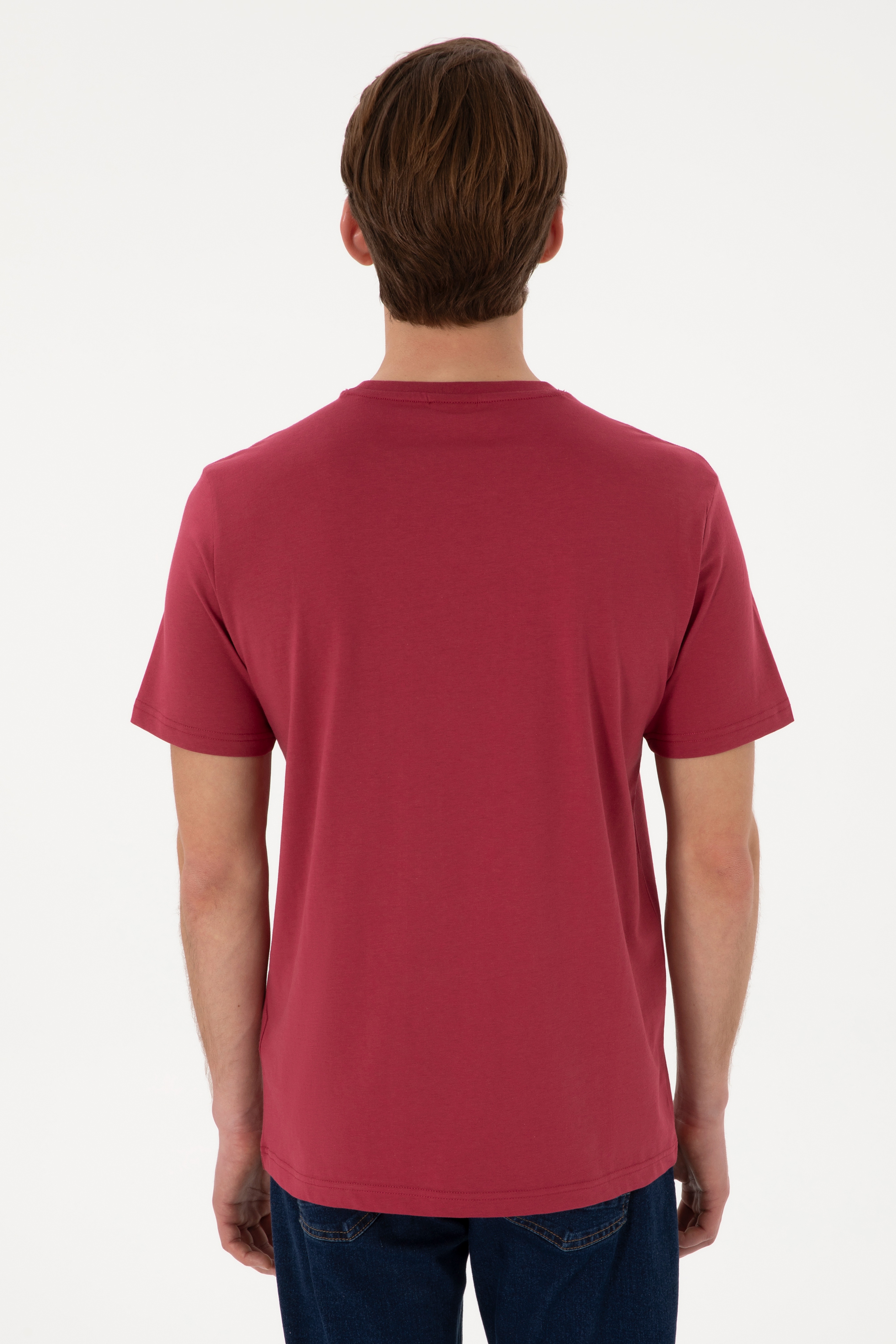 Erkek Regular Fit Bisiklet Yaka Vişne Basic Tişört - Image 5