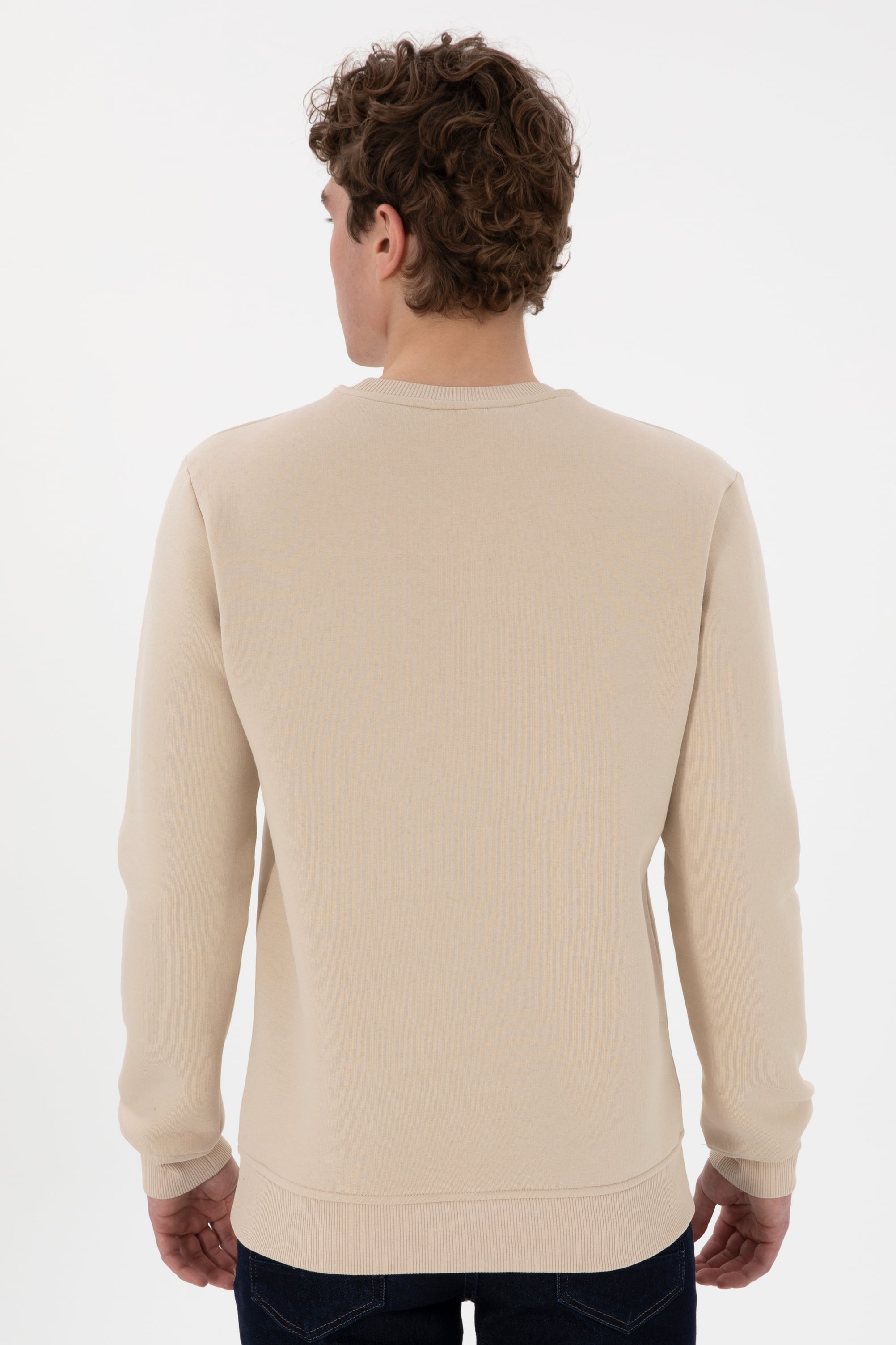 Erkek Regular Fit Bisiklet Yaka Taş Sweatshirt