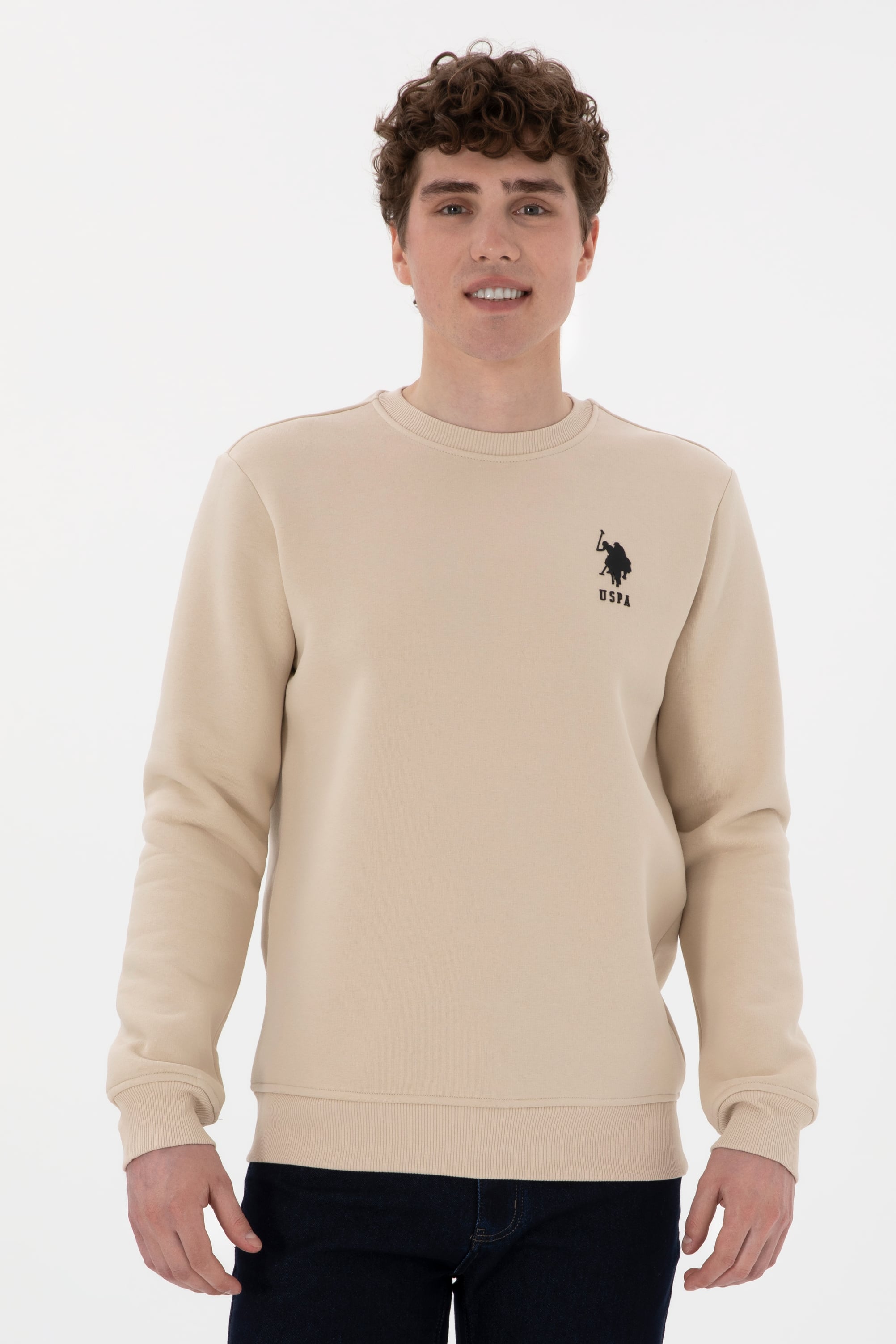 Erkek Regular Fit Bisiklet Yaka Taş Sweatshirt - Image 1