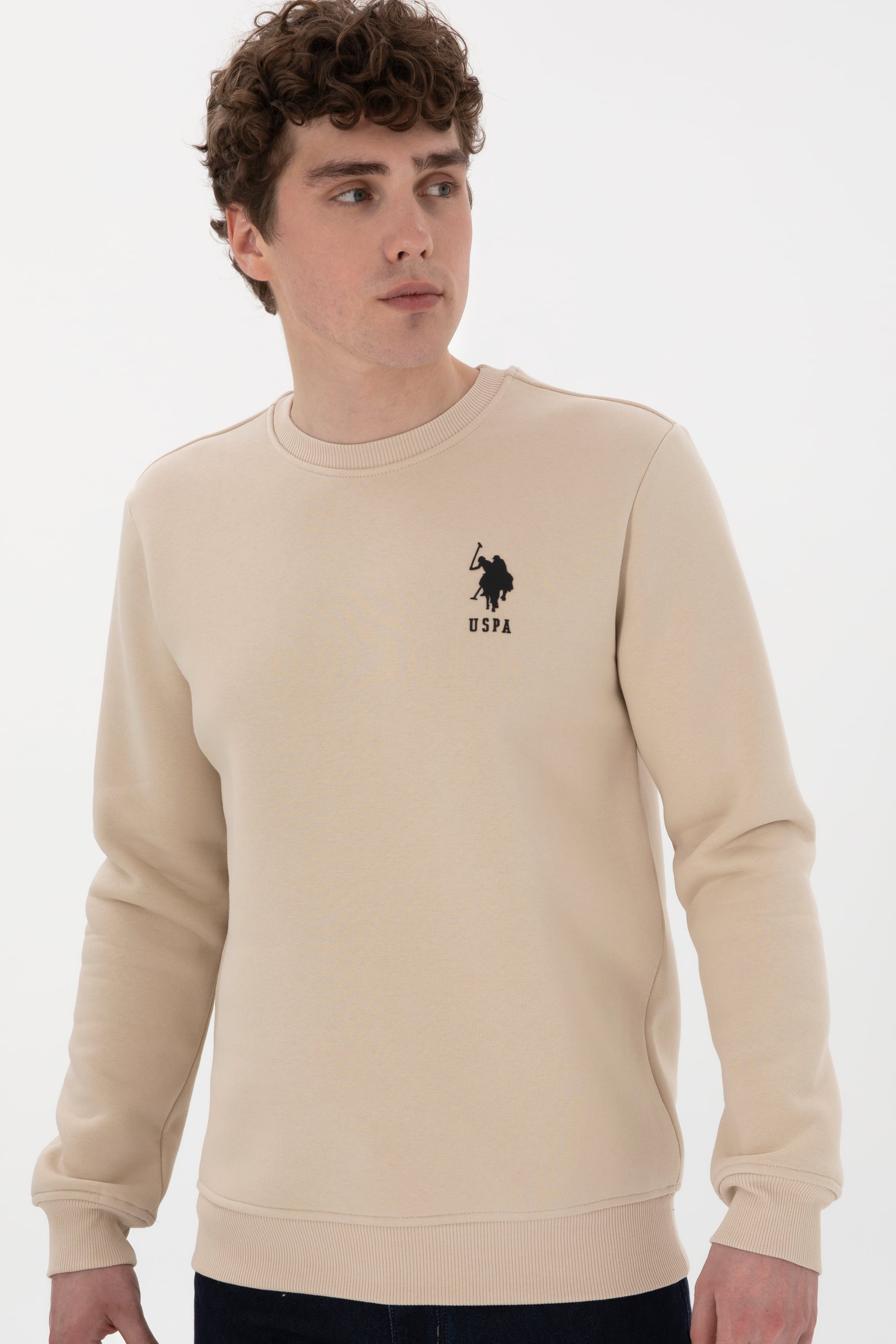 Erkek Regular Fit Bisiklet Yaka Taş Sweatshirt - Image 3