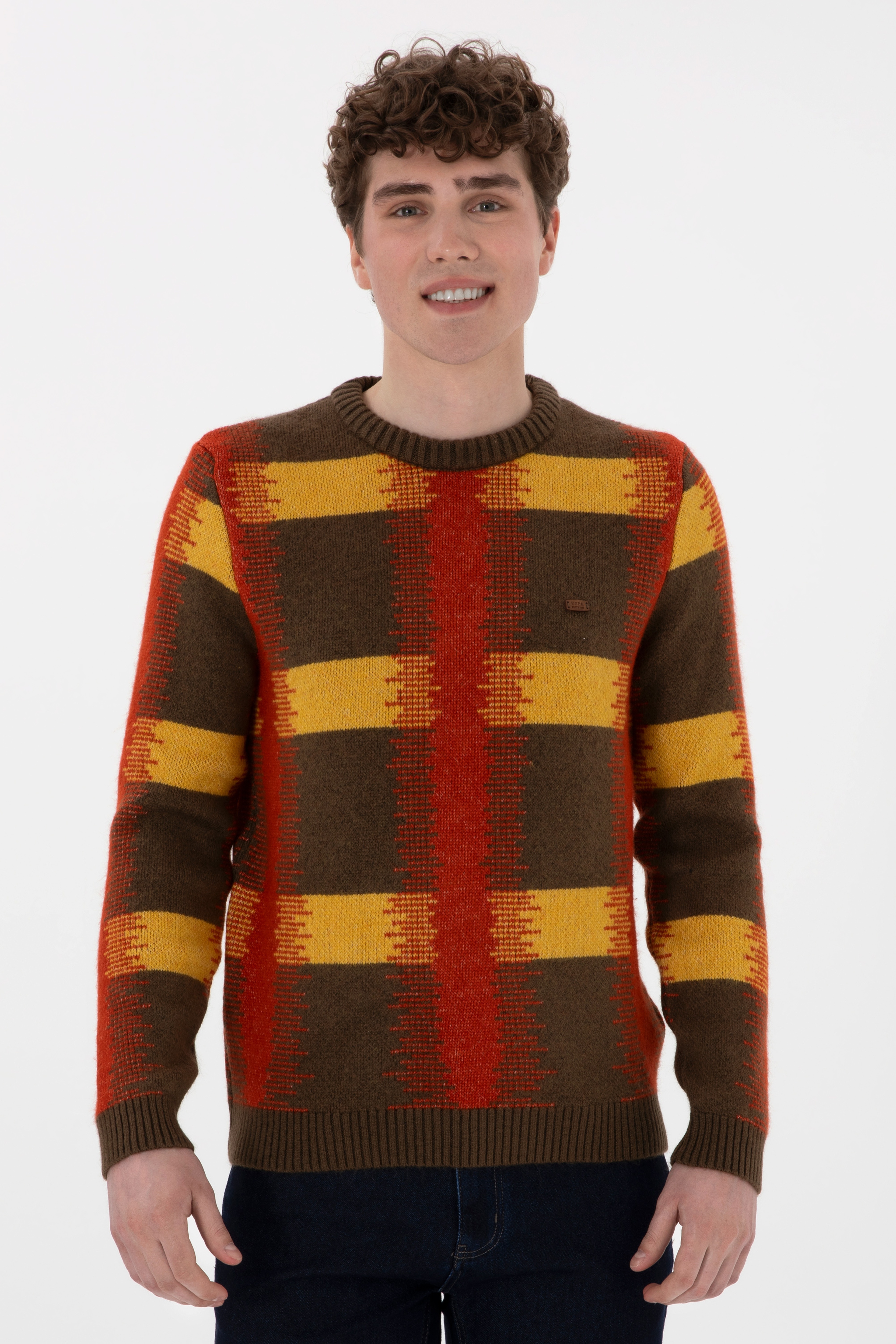 Erkek Regular Fit Bisiklet Yaka Haki Kazak - Image 1
