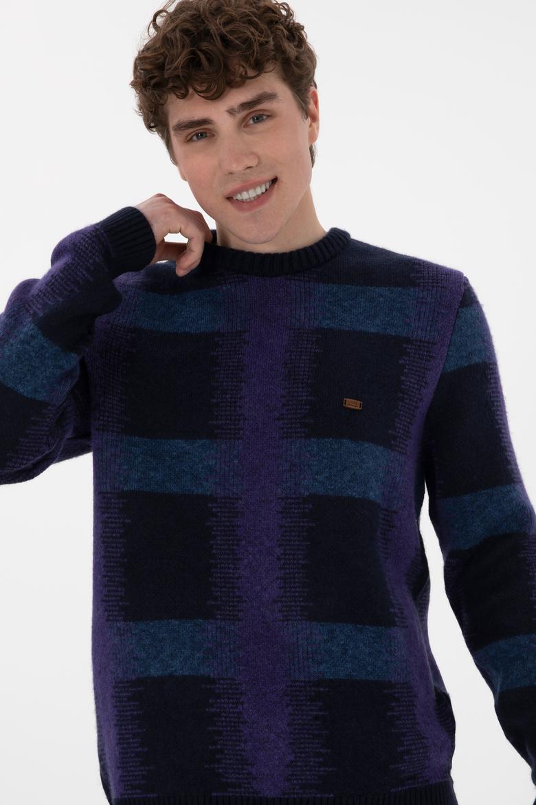 Erkek Regular Fit Bisiklet Yaka Lacivert Kazak - 50293138018