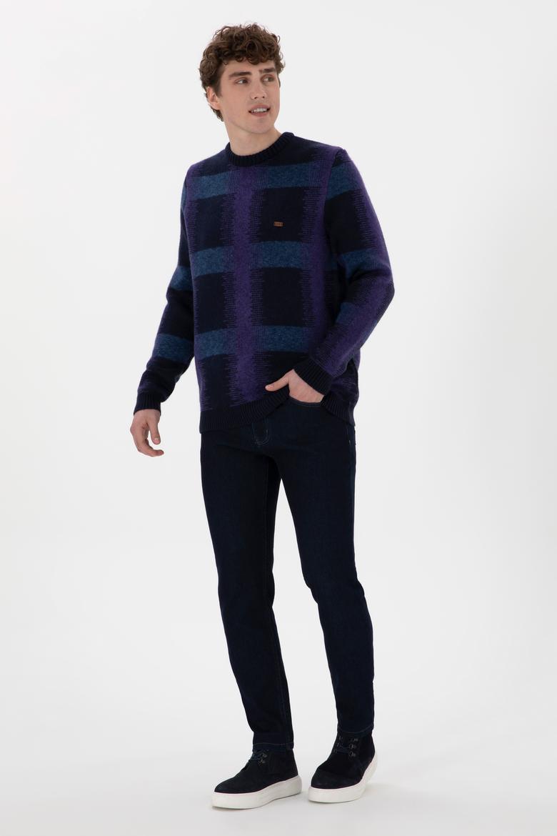 Erkek Regular Fit Bisiklet Yaka Lacivert Kazak - 50293138018