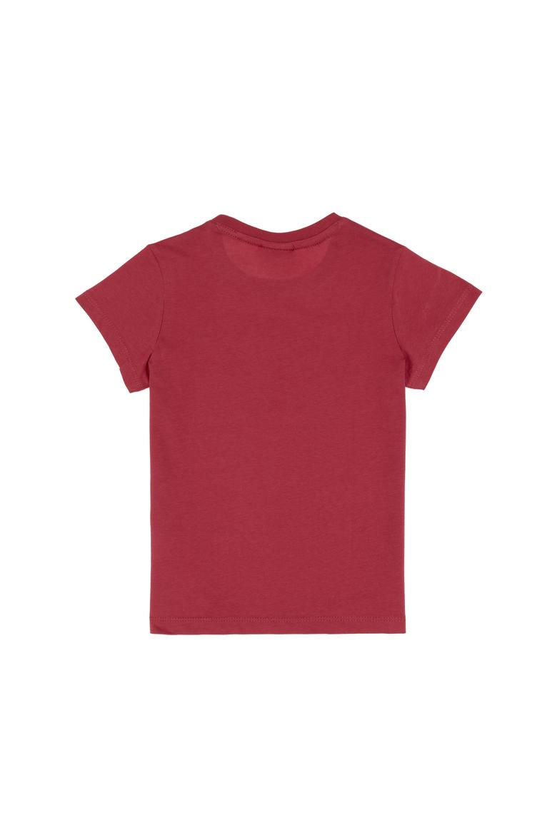 Erkek Çocuk Vişne Basic Bisiklet Yaka Tişört - 50306548125