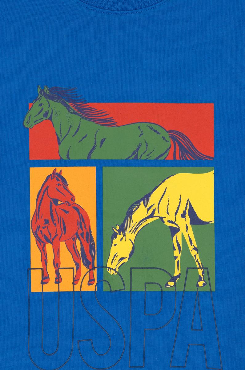 Erkek Çocuk Kobalt Bisiklet Yaka Tişört