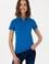Kadın Kobalt Mavi Basic Polo Yaka Tişört