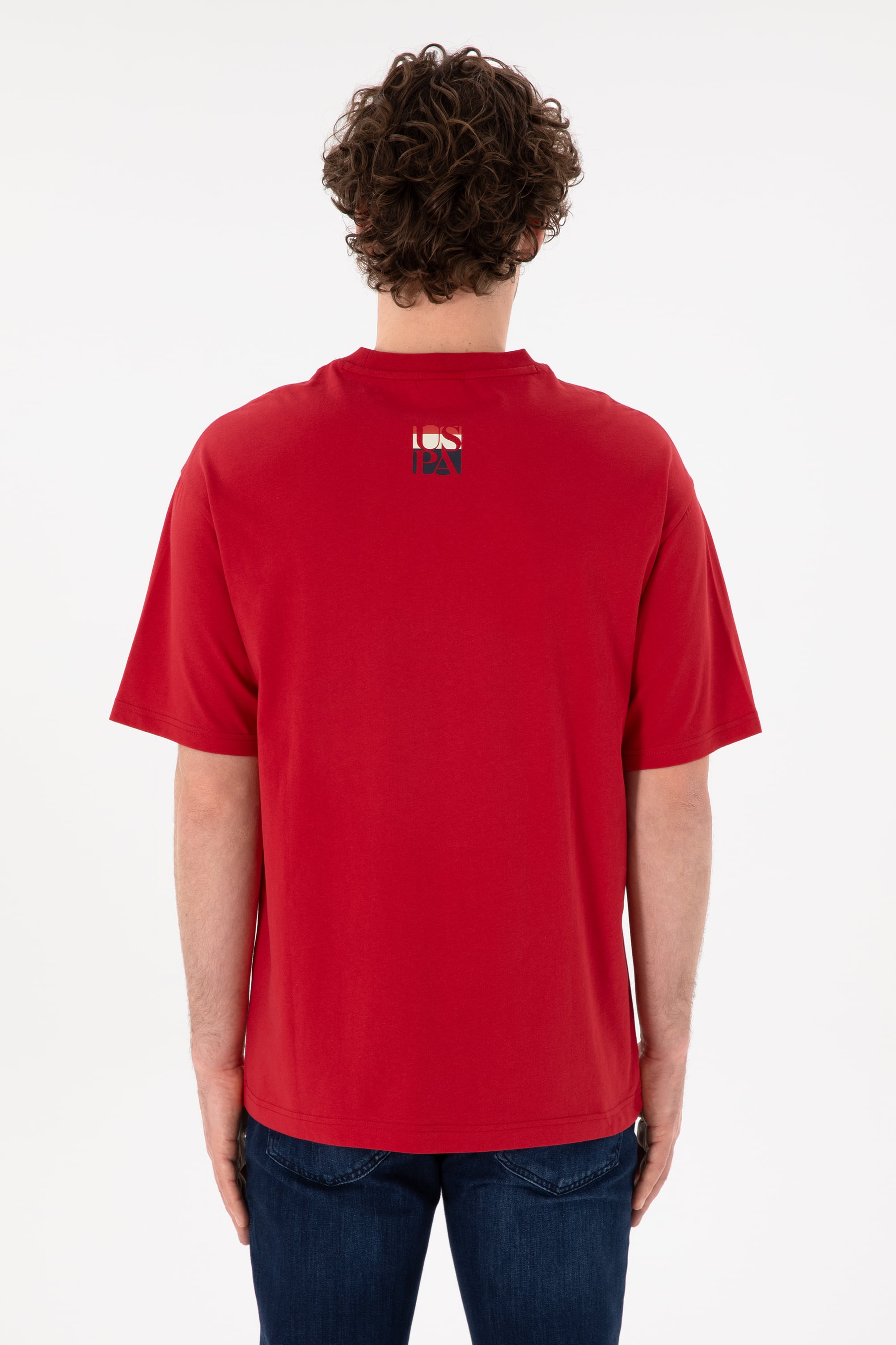 تی شرت یقه گرد ریلکس مردانه یو اس پولو | U.S. Polo Assn. - تصویر 6