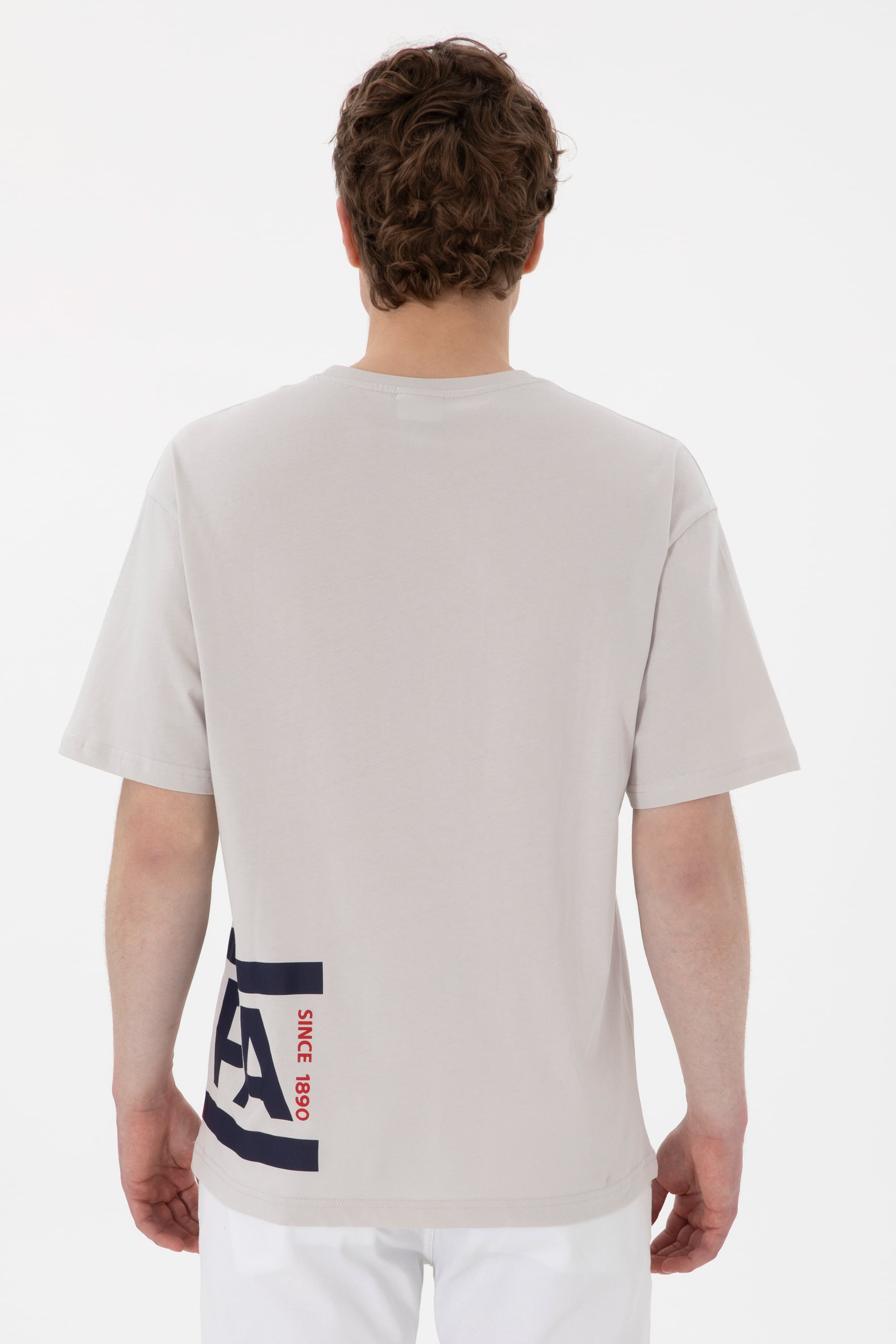 تی شرت یقه گرد ریلکس مردانه یو اس پولو | U.S. Polo Assn. - تصویر 5