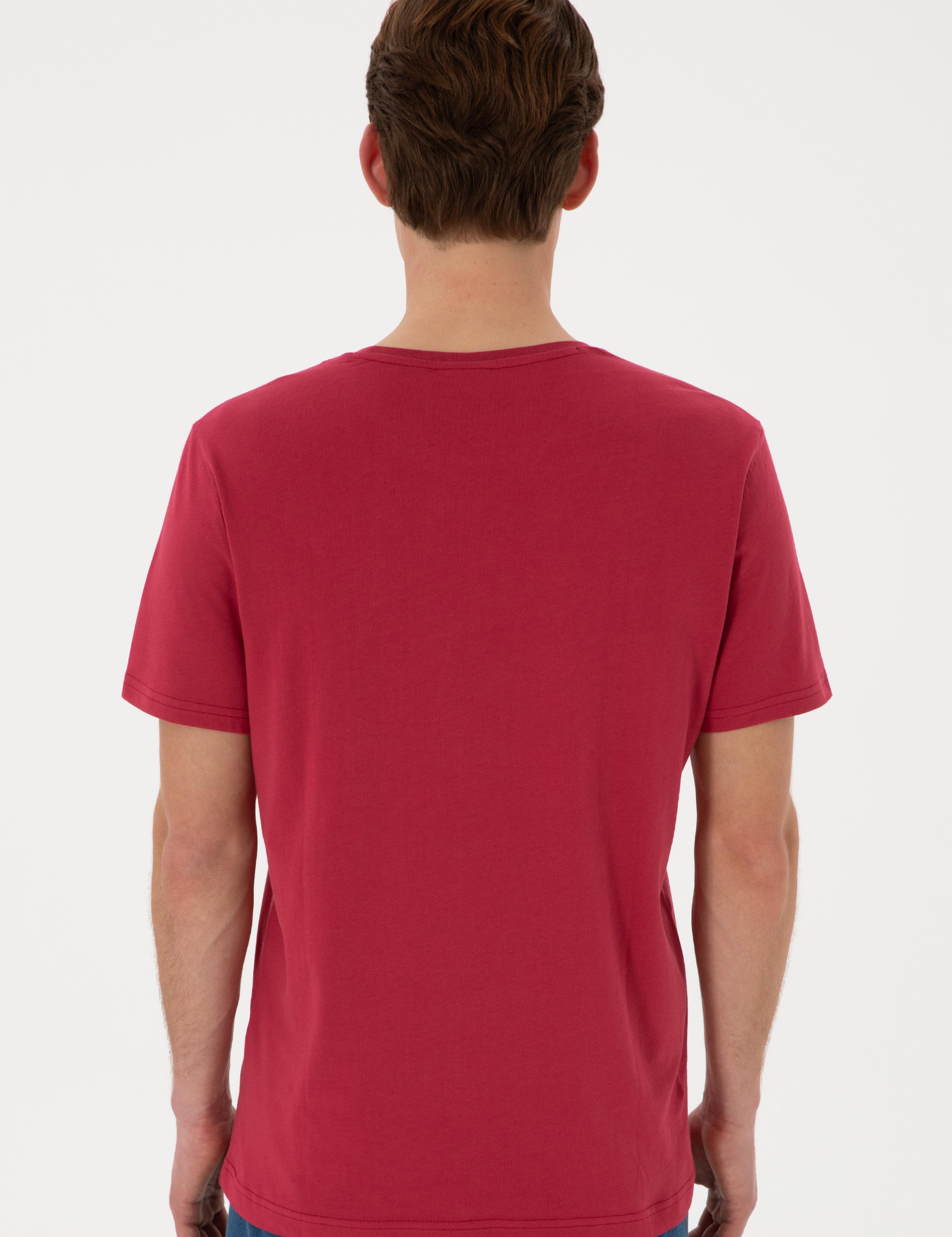 تی شرت یقه گرد رگولار مردانه یو اس پولو | U.S. Polo Assn. - تصویر 5