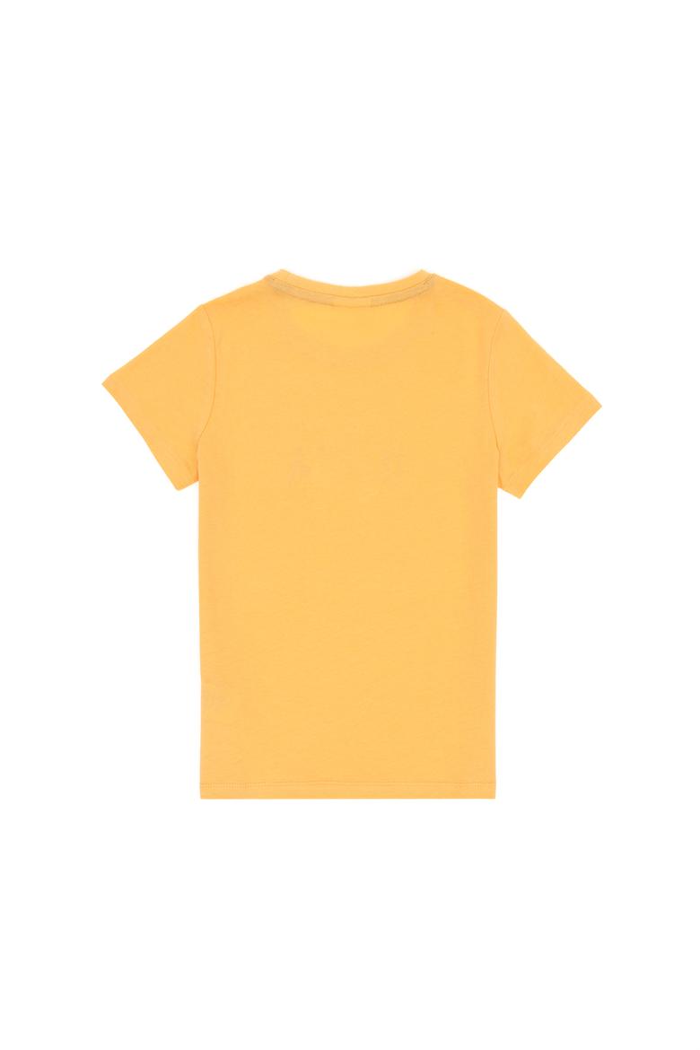 Erkek Çocuk Kavun Bisiklet Yaka Tişört - 50307321015