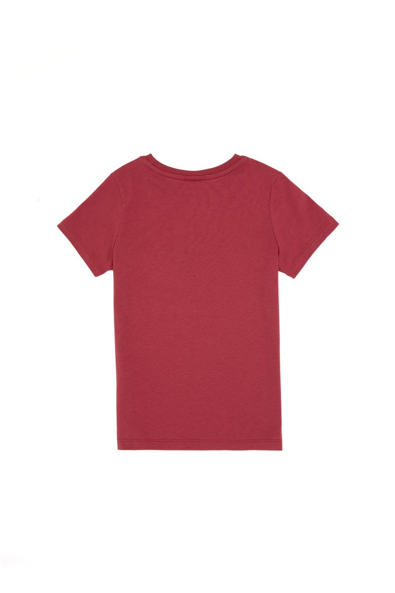 Erkek Çocuk Vişne Bisiklet Yaka Tişört - 50307313027