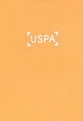 Erkek Çocuk Kavun Bisiklet Yaka Tişört - 50299958038