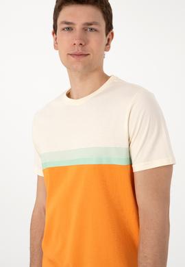 Erkek Regular Fit Bisiklet Yaka Turuncu Tişört - 50306899026