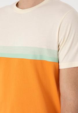 Erkek Regular Fit Bisiklet Yaka Turuncu Tişört - 50306899026