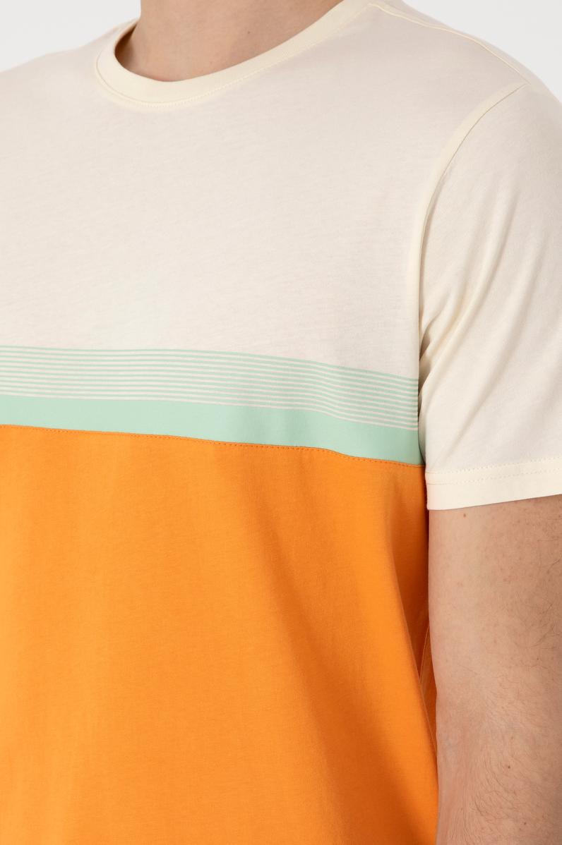Erkek Regular Fit Bisiklet Yaka Turuncu Tişört