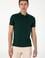 Erkek Slim Fit Polo Yaka Koyu Yeşil Basic Tişört