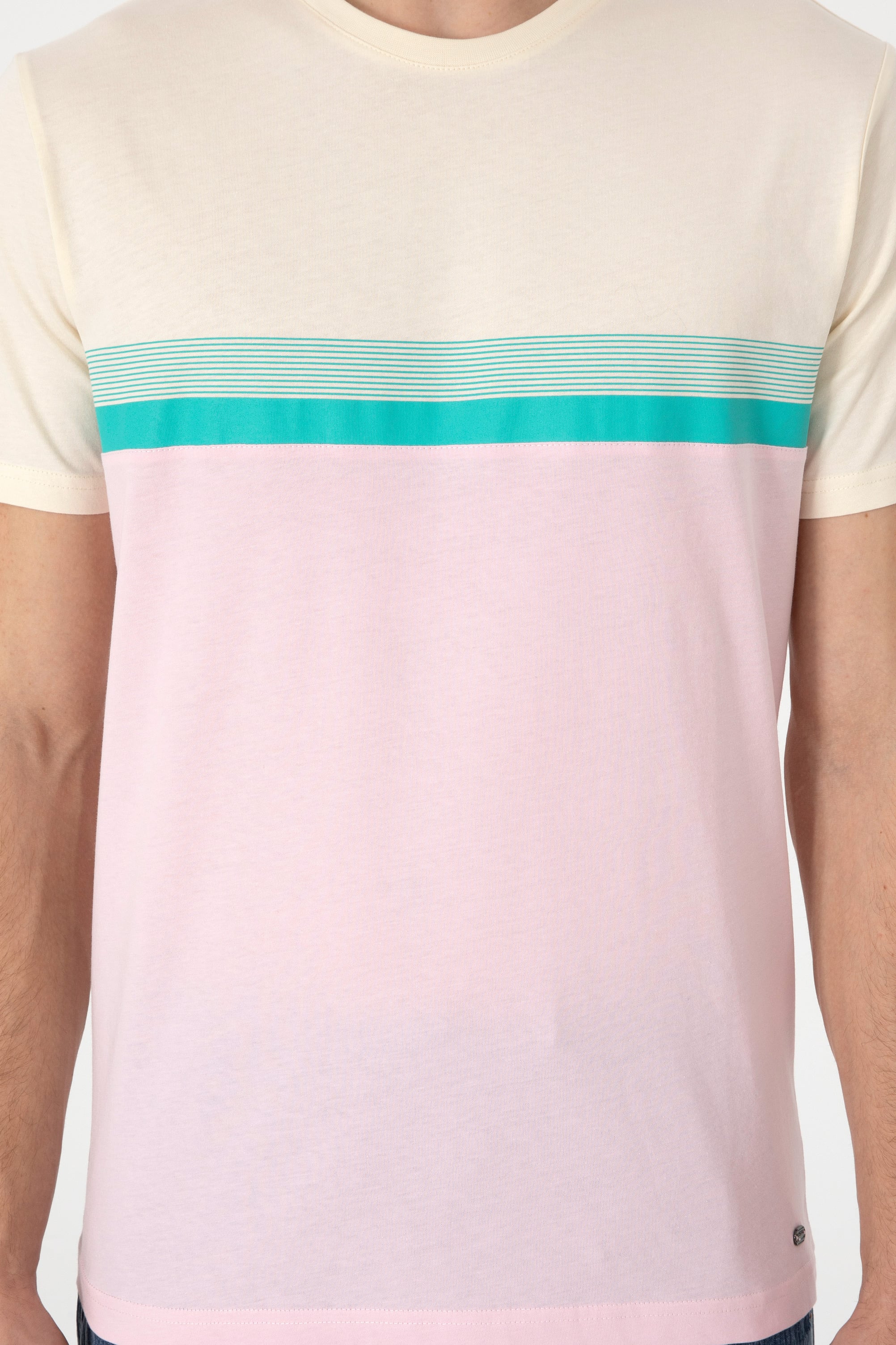 تی شرت یقه گرد رگولار مردانه یو اس پولو | U.S. Polo Assn. - تصویر 6