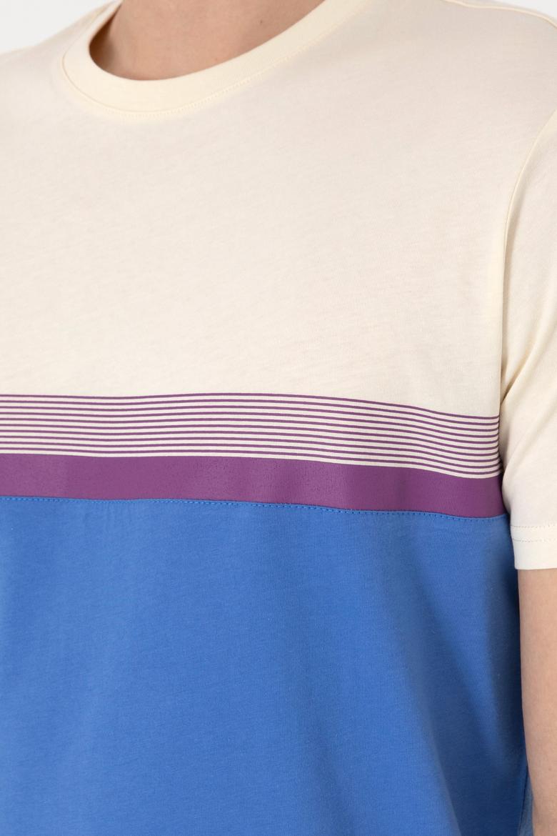 Erkek Regular Fit Bisiklet Yaka İndigo Tişört - 50306899020