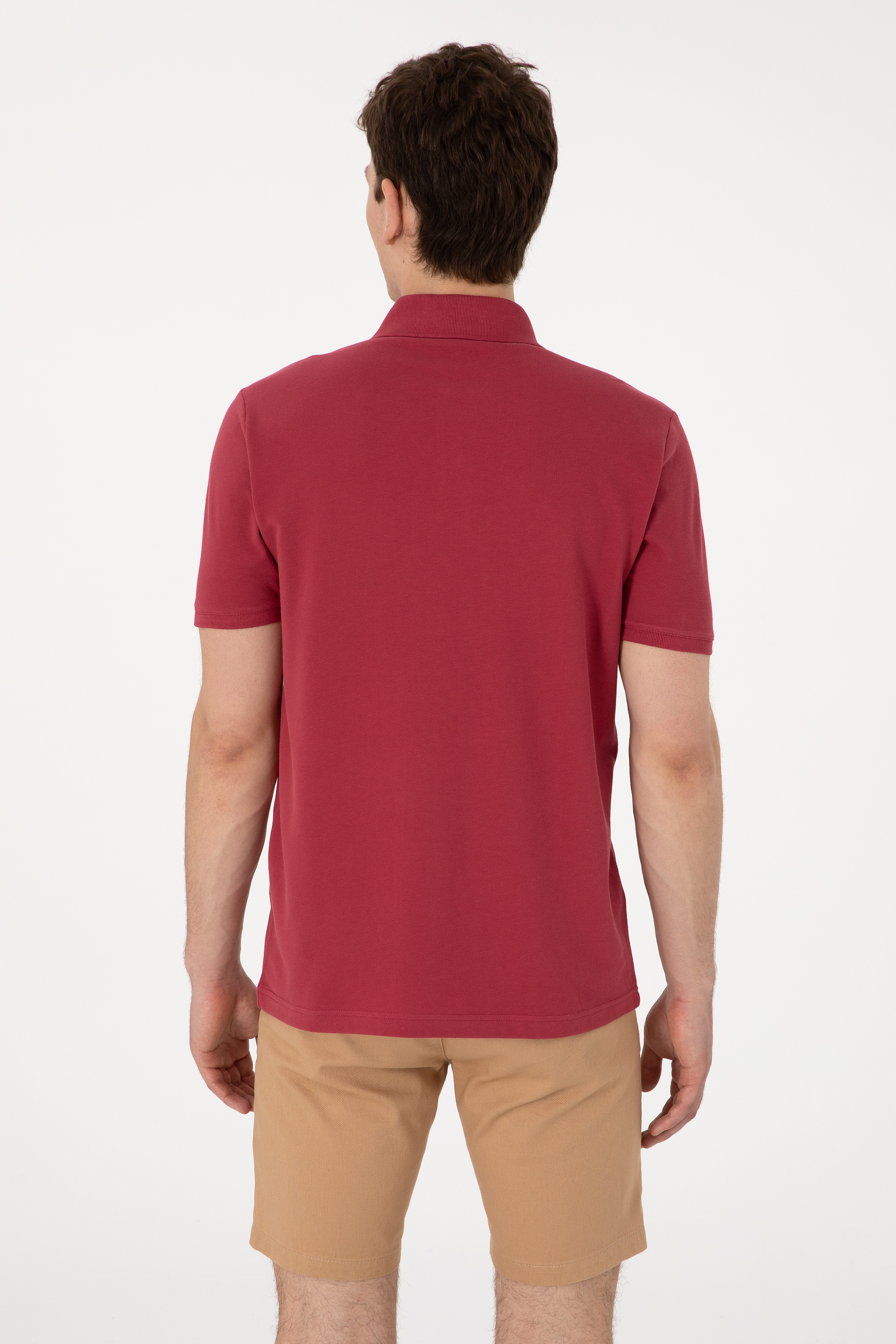 Erkek Regular Fit Polo Yaka Vişne Basic Tişört - Image 5