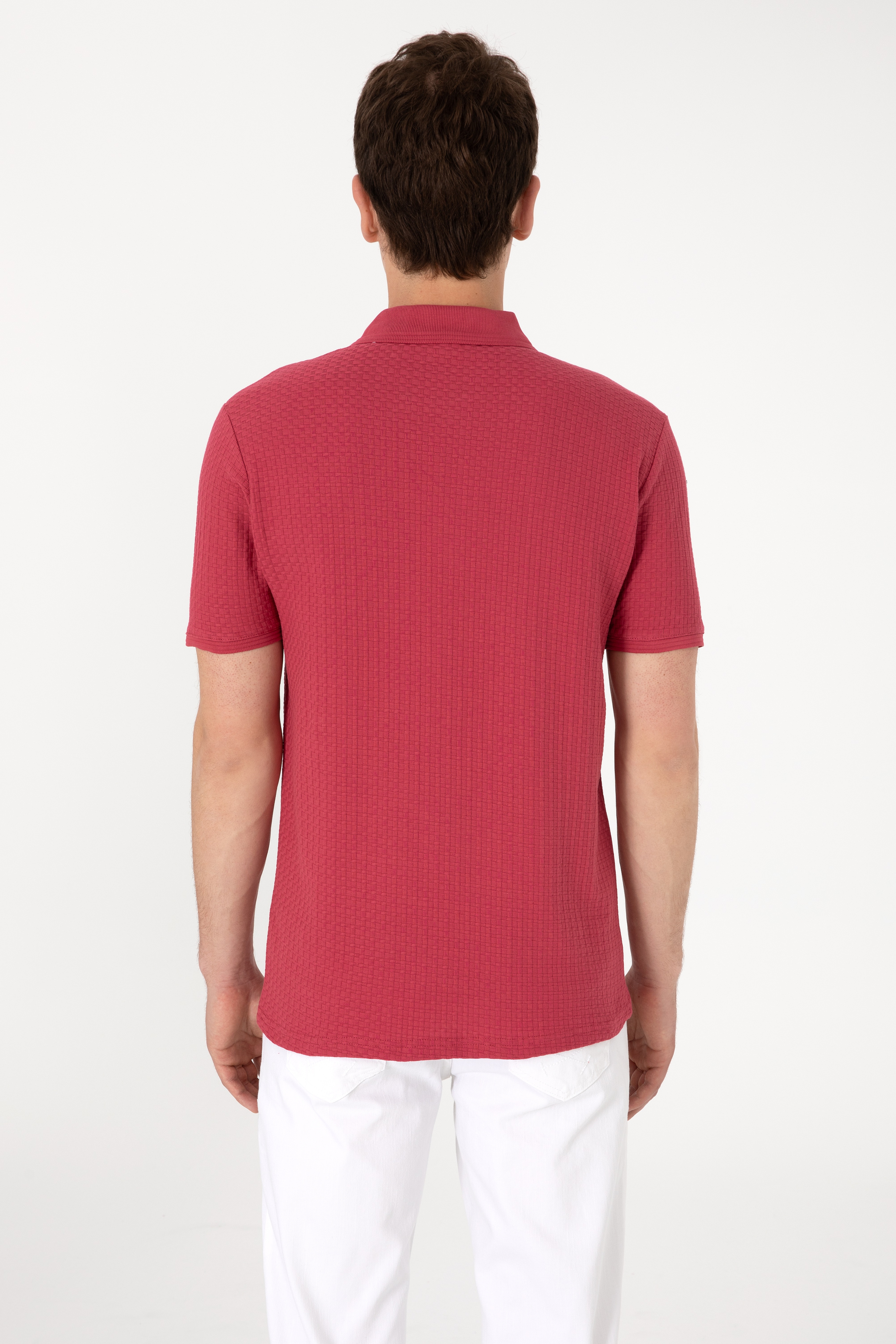 Erkek Regular Fit Polo Yaka Vişne Tişört - Image 5