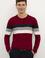 Erkek Bordo Bisiklet Yaka Triko Kazak