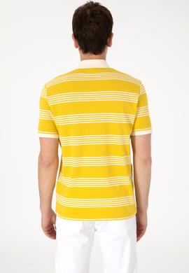 Erkek Regular Fit Polo Yaka Sarı Çizgili Tişört - 50306826029