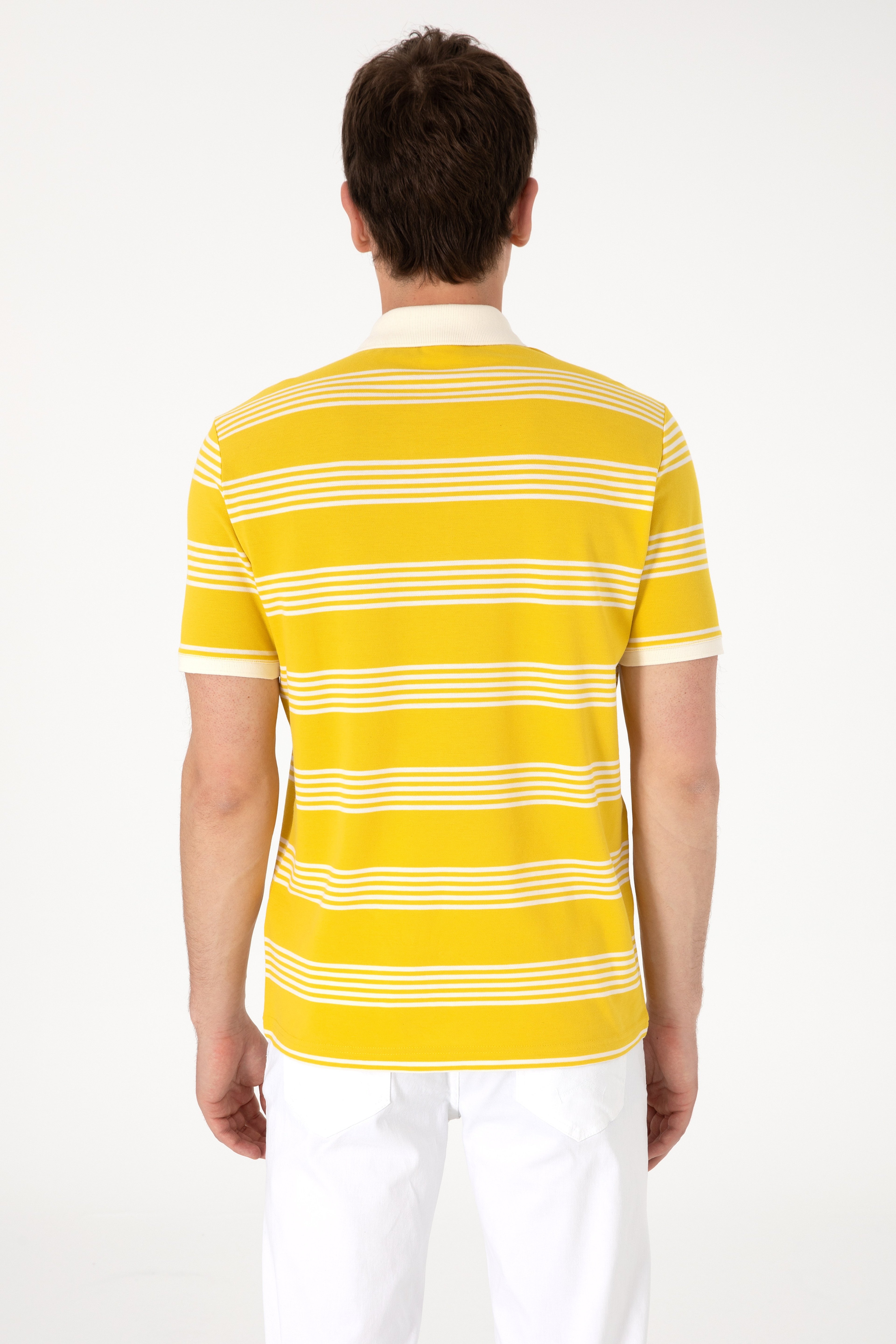 Erkek Regular Fit Polo Yaka Sarı Çizgili Tişört - Image 5